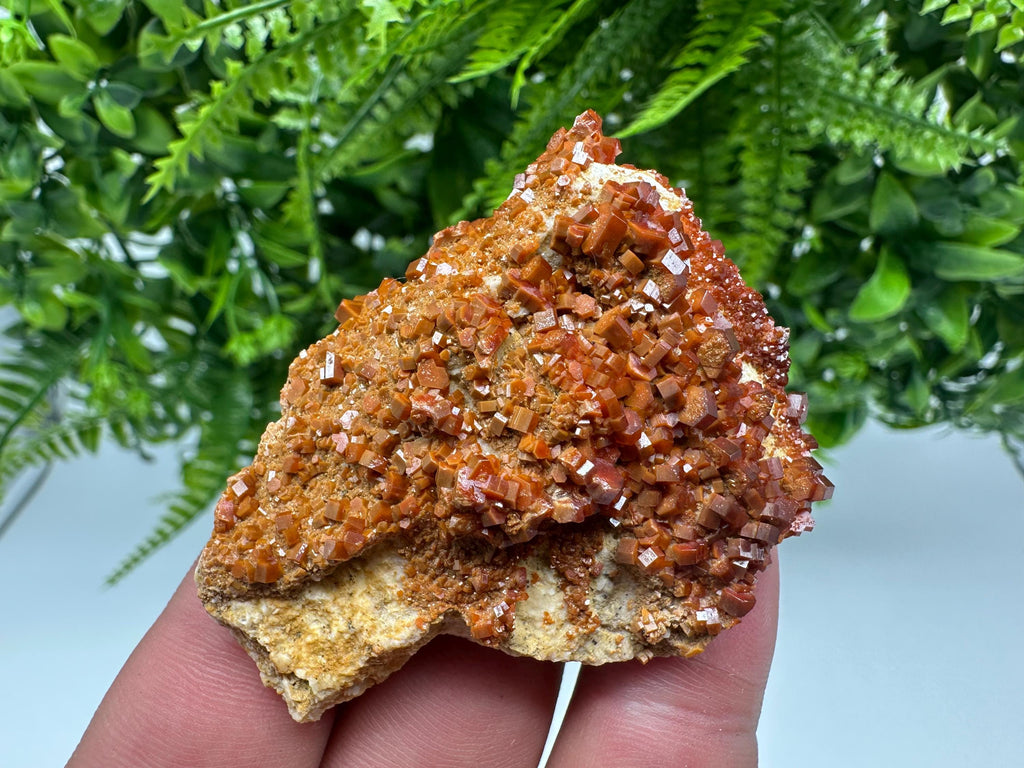 Red Vanadinite on Barite, Moroccan Crystal Mineral Specimen