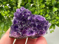 Uruguay Amethyst Crystal: Purple Quartz Home Decor, Energy Stone