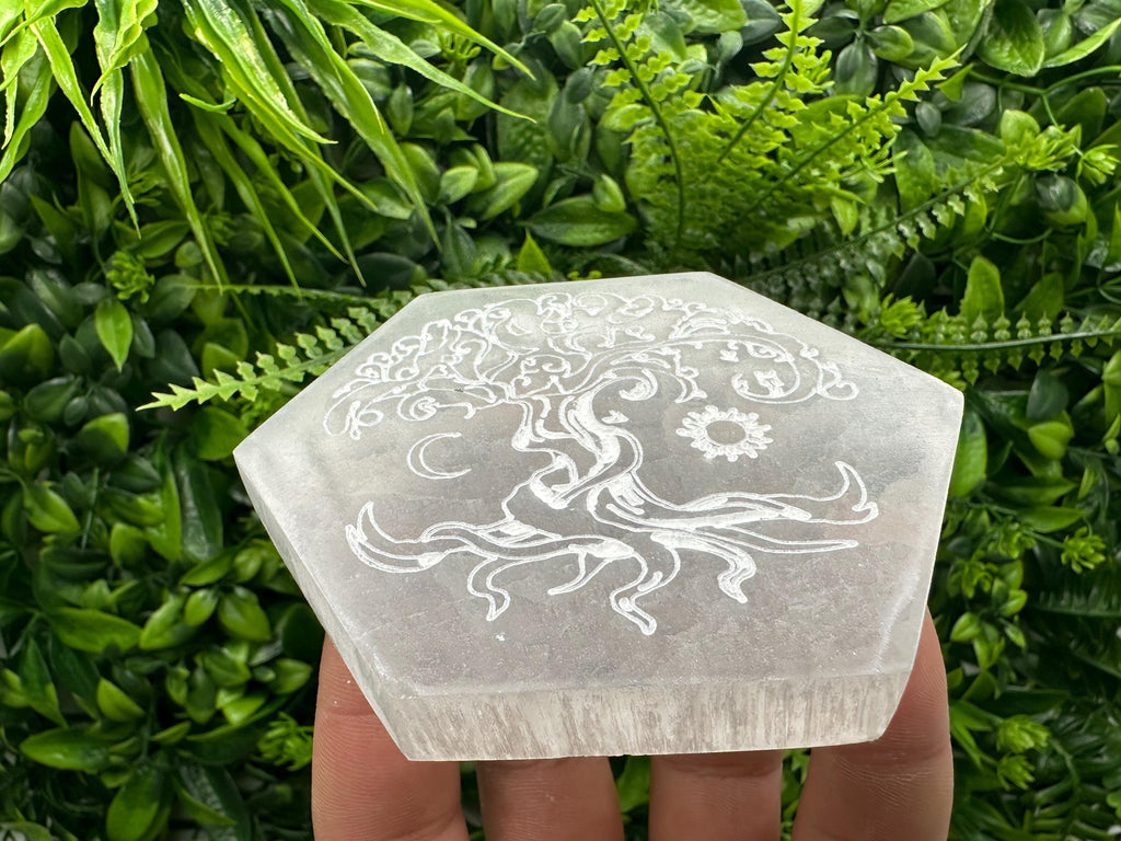 Tree of Life Selenite Plate: Crystal Recharging & Stone Purification (10/10cm)