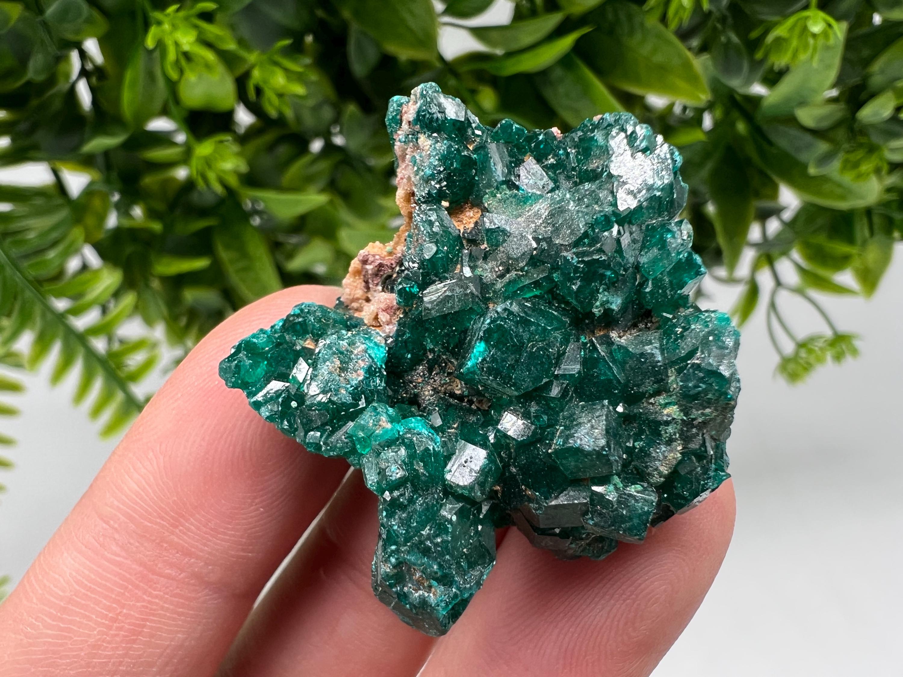 Stunning Green Dioptase from Sanda Hills,Mindouli,Pool Department,Mindouli District,Congo,green Dioptase,Dioptas Crystal,Dioptase collecting