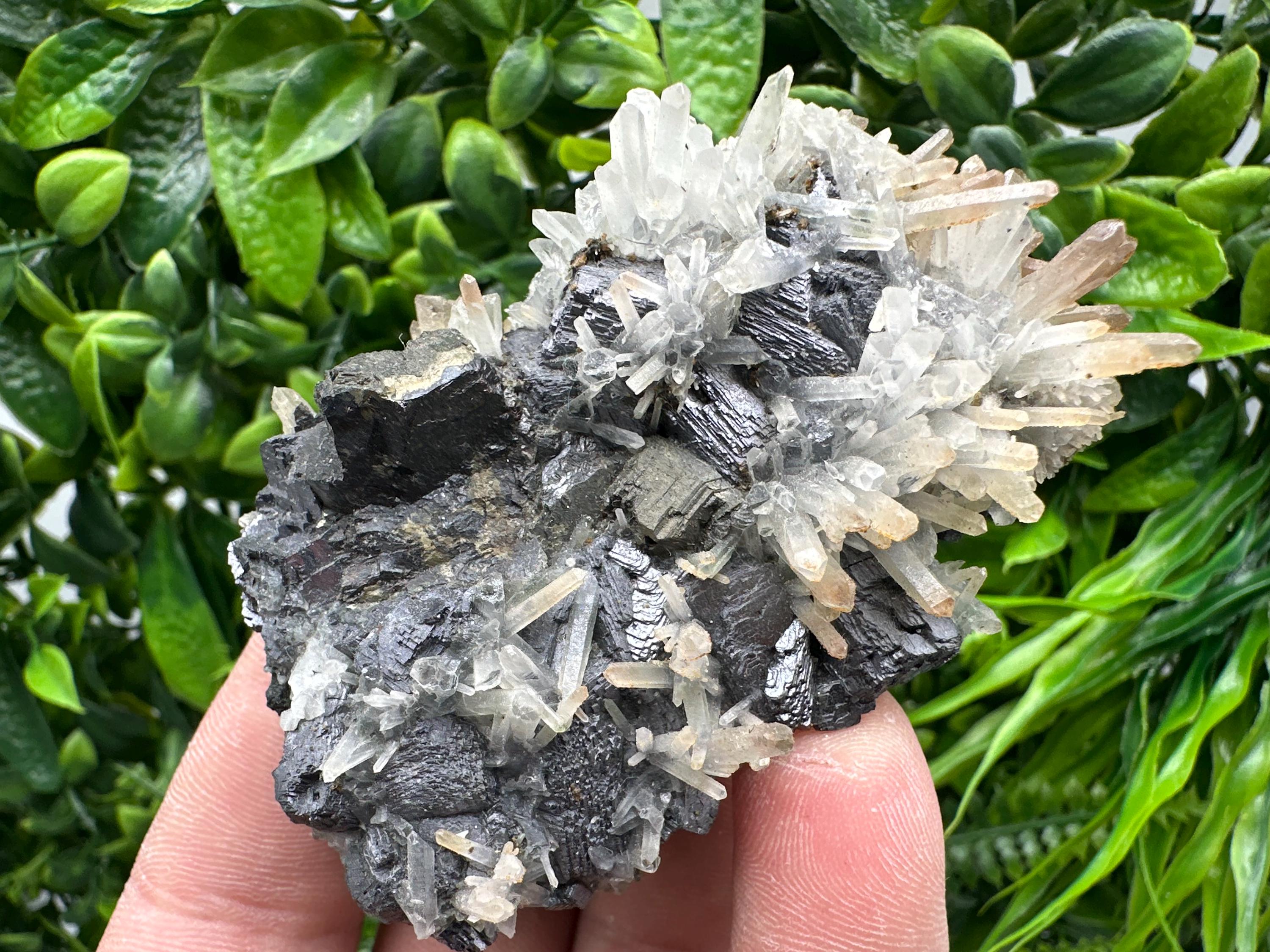 Galena, Sphalerite, Chalcopyrite, and Quartz Mineral Specimen, Djurcovo Mine