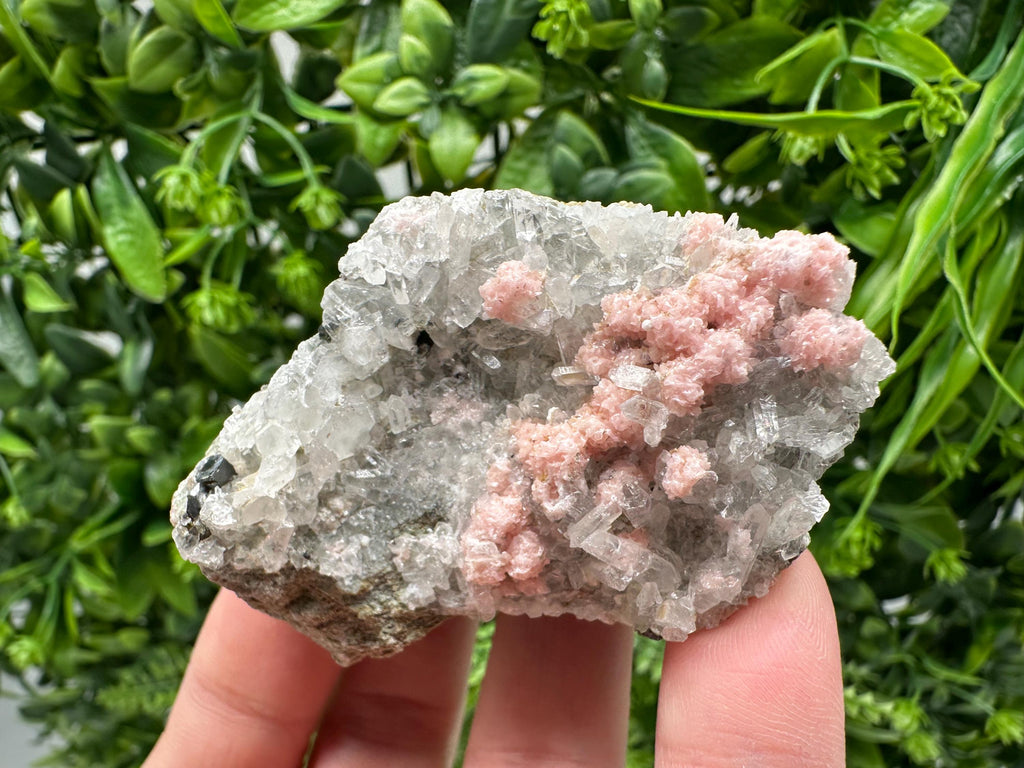 Pink Rhodochrosite Crystal: Starnica Mine, Bulgaria, Home Decor