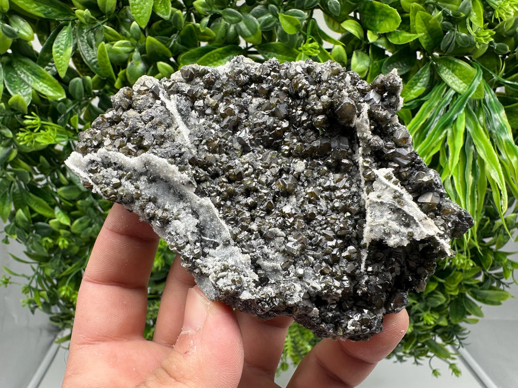 Cleiophane Sphalerite Specimen: Transparent Yellow Green Crystal