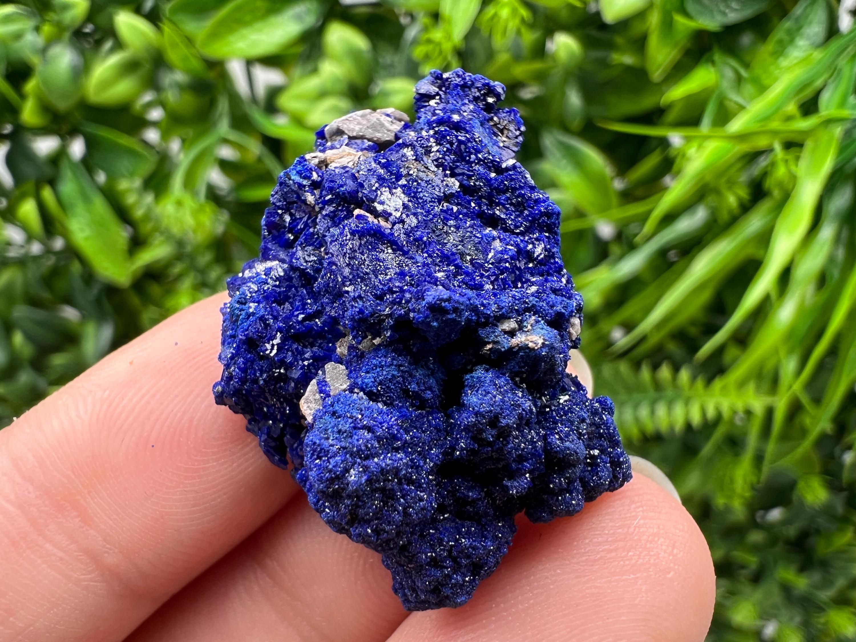 Crystallized Azurite-Kerrouchen,Morocco-Blue Azurite Specimen-High Quality Blue Azurite-Azurite Mineral Specimen, gemmy,lustrous of Azurite