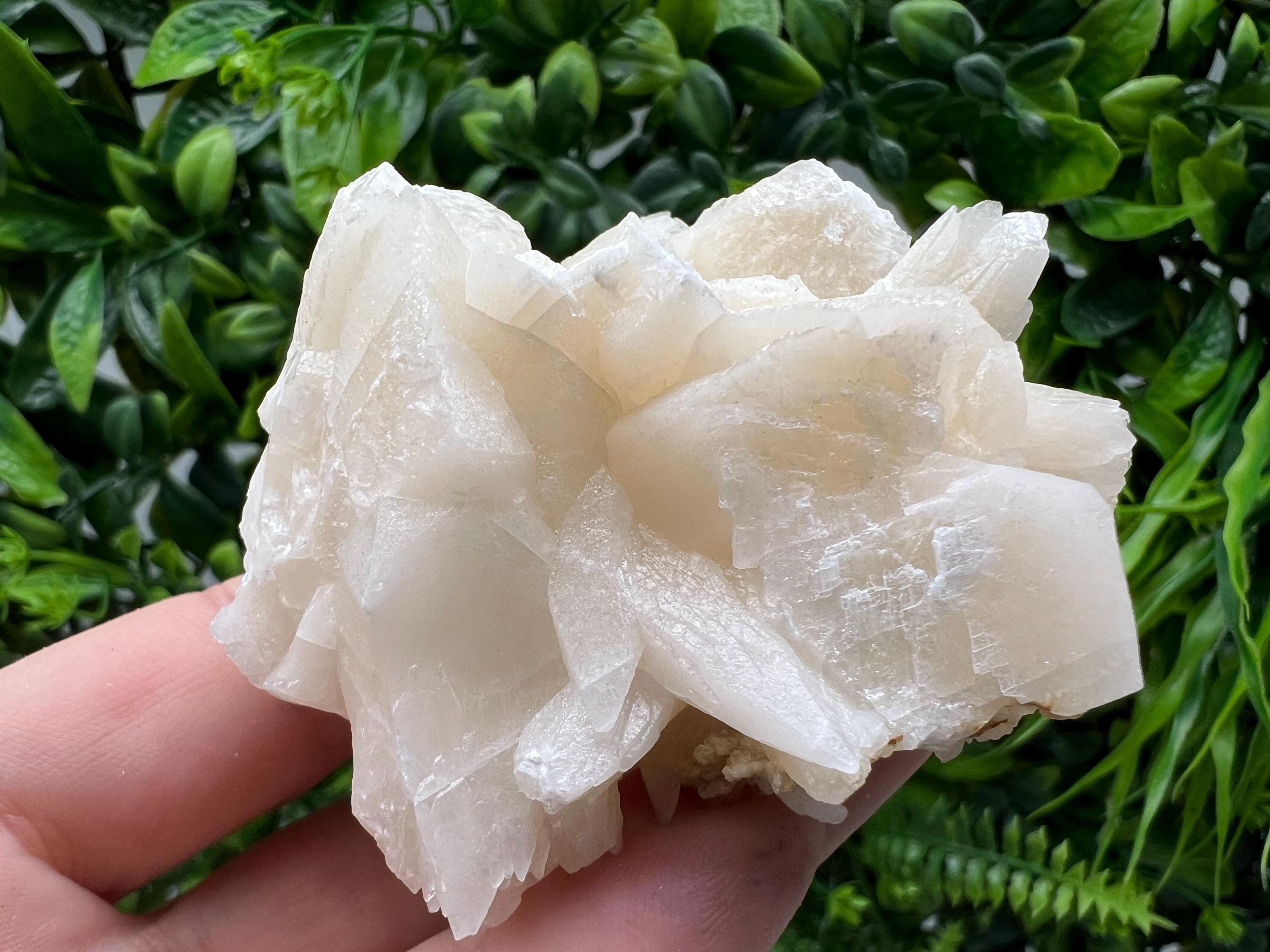 Calcite on Green Quartz: Djurcovo Mine, Bulgaria Healing Crystal