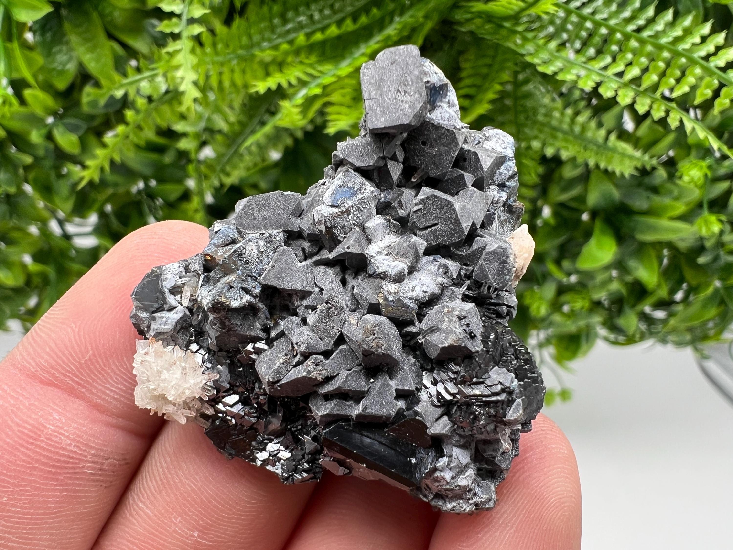 Shiny Galena Cluster with Siderite and Quartz, Bulgaria Mineral Specimen