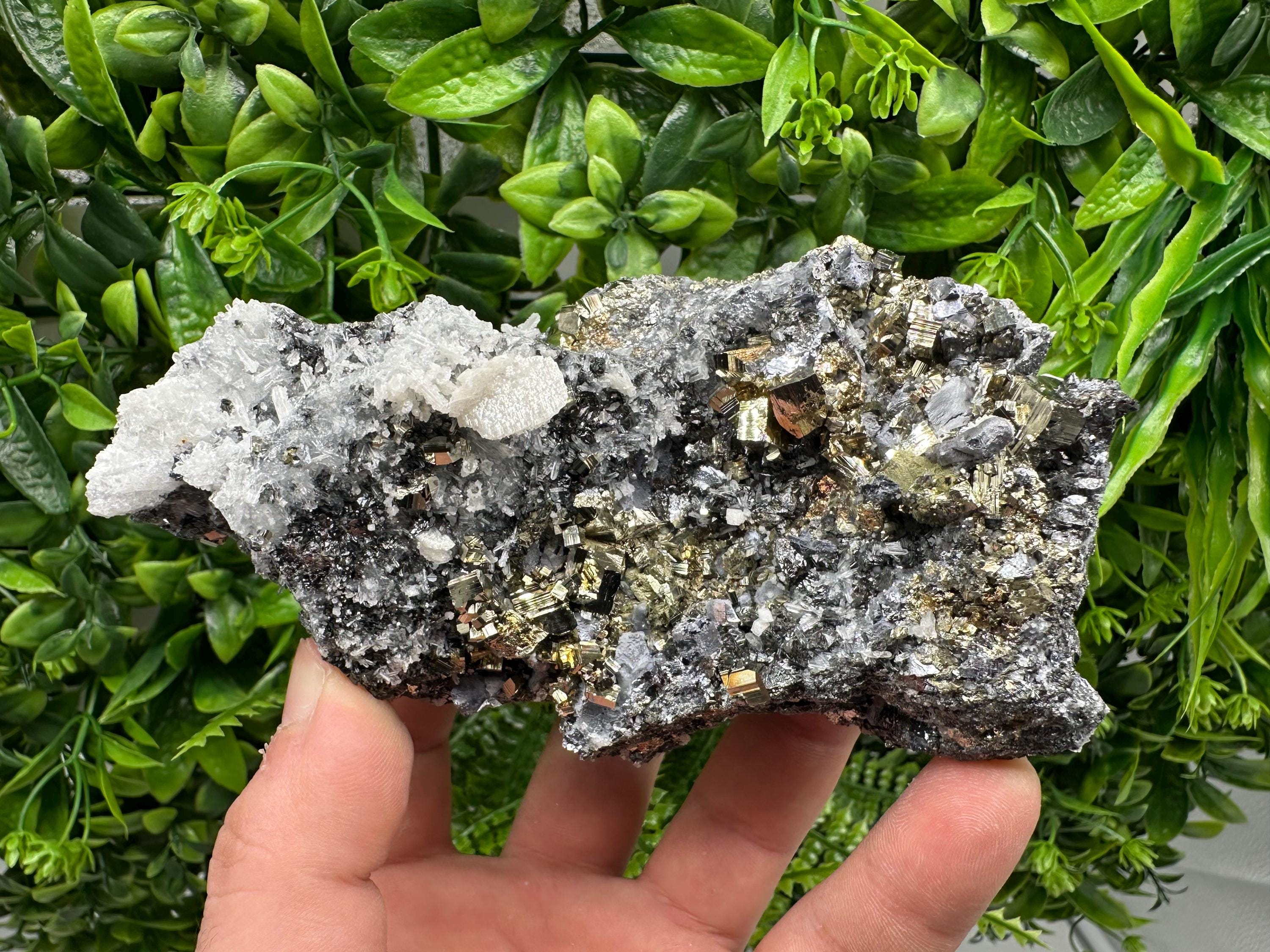 Pyrite Sphalerite Quartz  Mineral Specimen, Krushev dol Mine