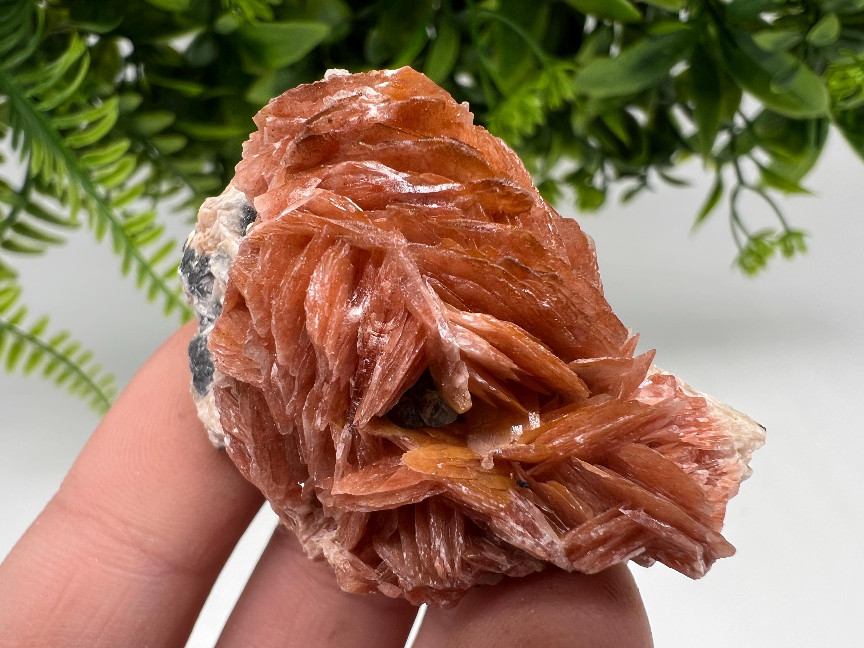 Wonderful Baryte with Cerussite on Galena from Morocco,Crystal, Mineral,Specimen,Cluster,Crystals,Barite Crystal,Cerussite Crystal,Specimen