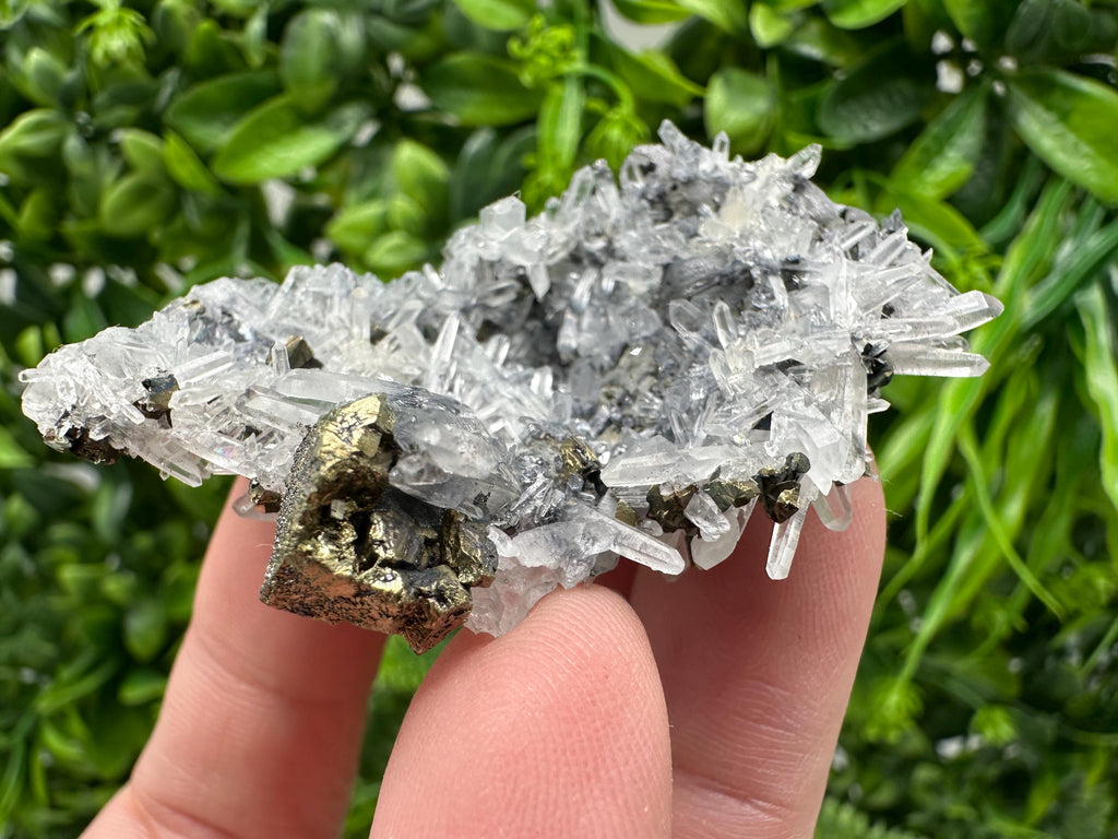 Wonderful Sphalerite Chalcopyrite on  Quartz whit Galena feom 9 th September mine,Bulgaria,natural,collection mineral specimen,gift