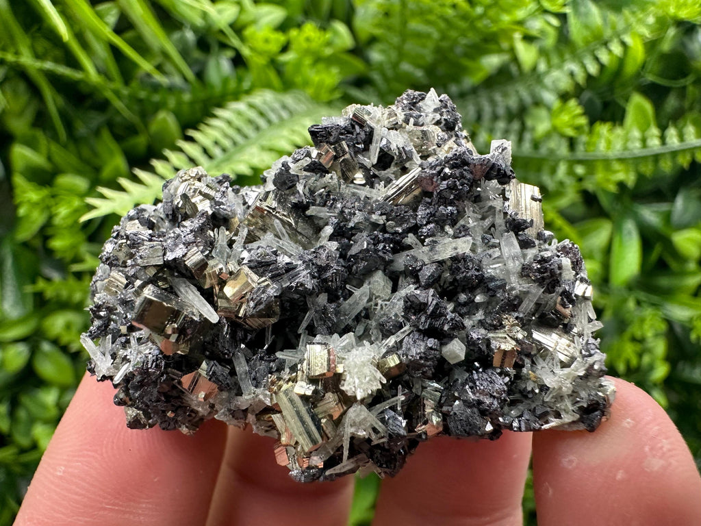 Pyrite on Sphalerite and Quartz, Borieva Mine Mineral Specimen