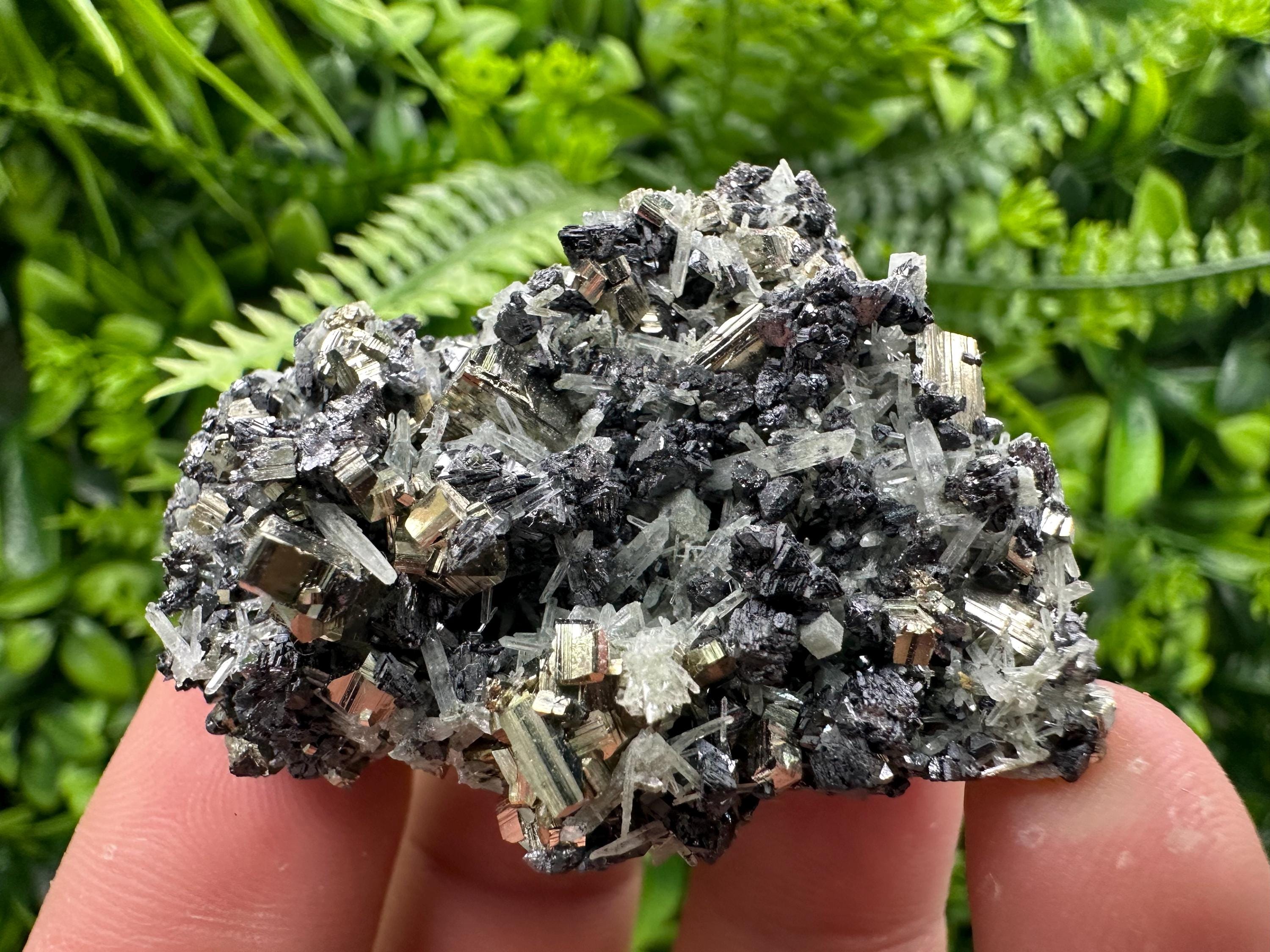 Pyrite on Sphalerite and Quartz, Borieva Mine Mineral Specimen