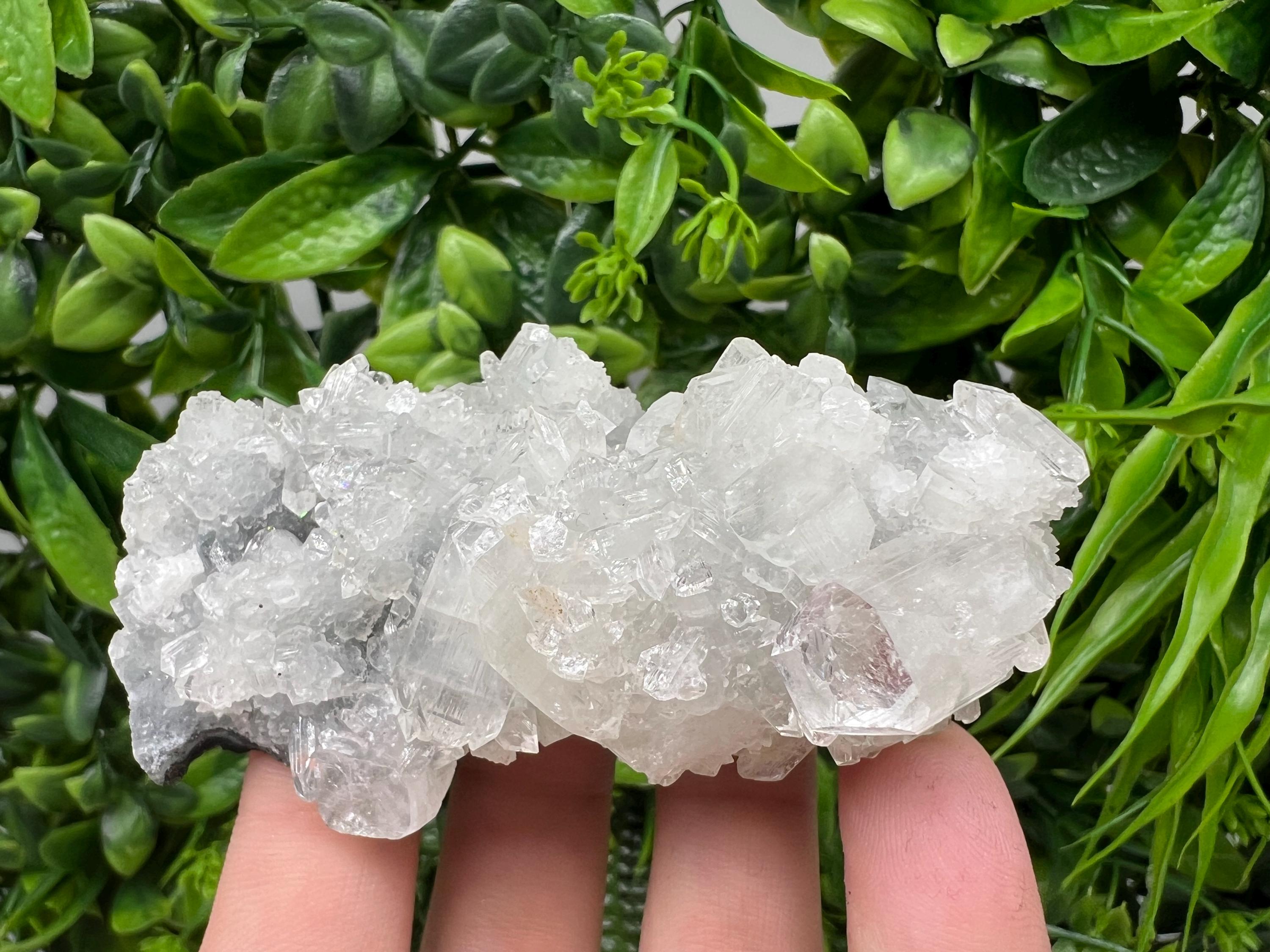 Apophyllite on Chalcedony Specimen: Transparent Crystal, India Minerals