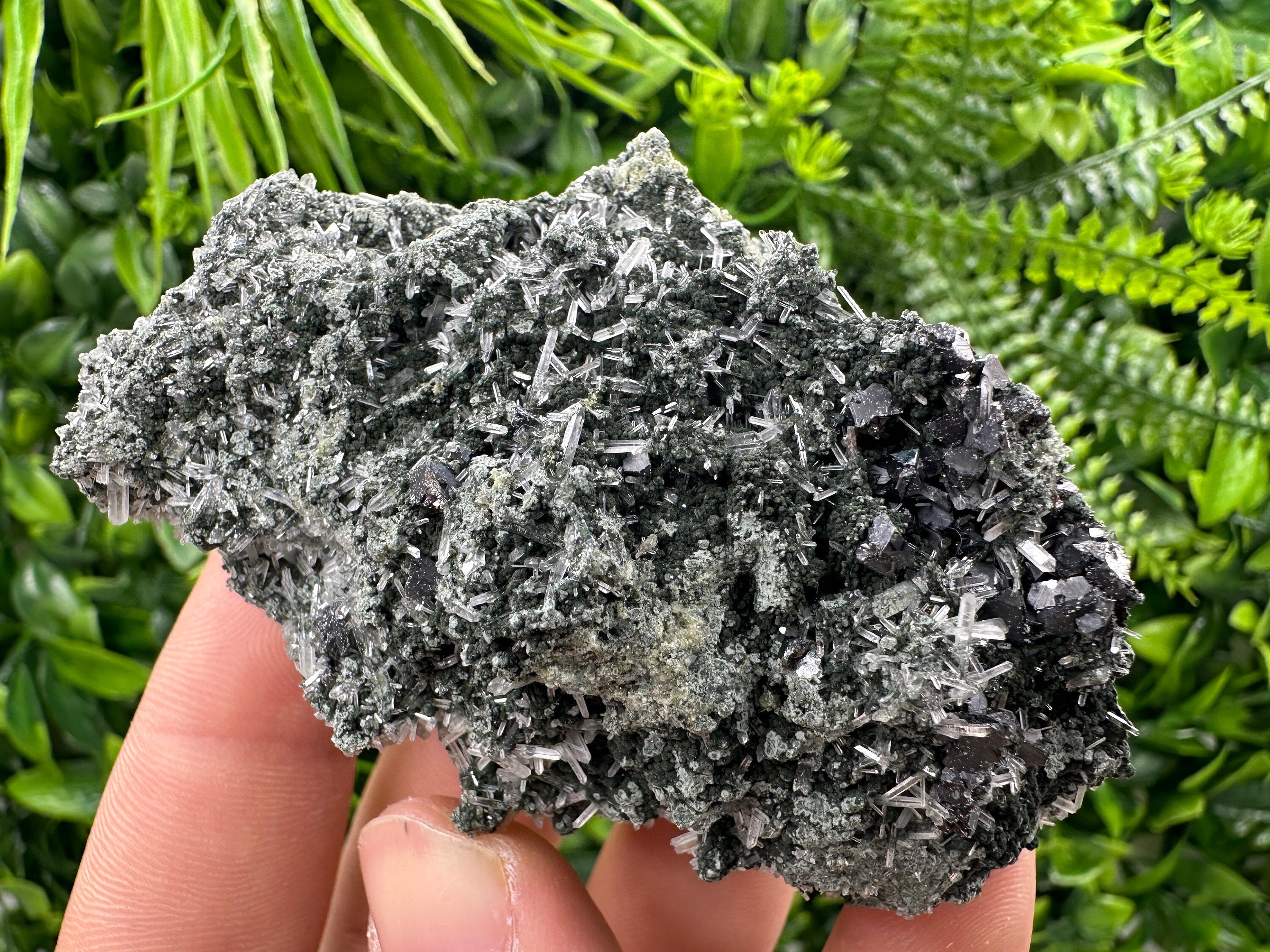 Sphalerite on Green Quartz with Chlorite Inclusion - Bulgaria Crystal Decor (8/6/4 cm)