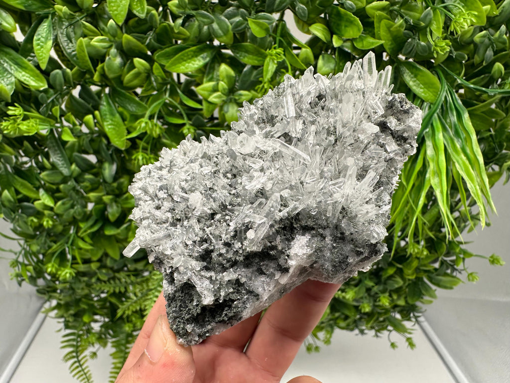 Wonderful Transparent Quartz on Chlorite Matrix,From Borieva mine,Madan,Bulgaria,Quartz,Quartz crystal,mineral specimen,collection quartz
