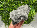 Wonderful Transparent Quartz on Chlorite Matrix,From Borieva mine,Madan,Bulgaria,Quartz,Quartz crystal,mineral specimen,collection quartz