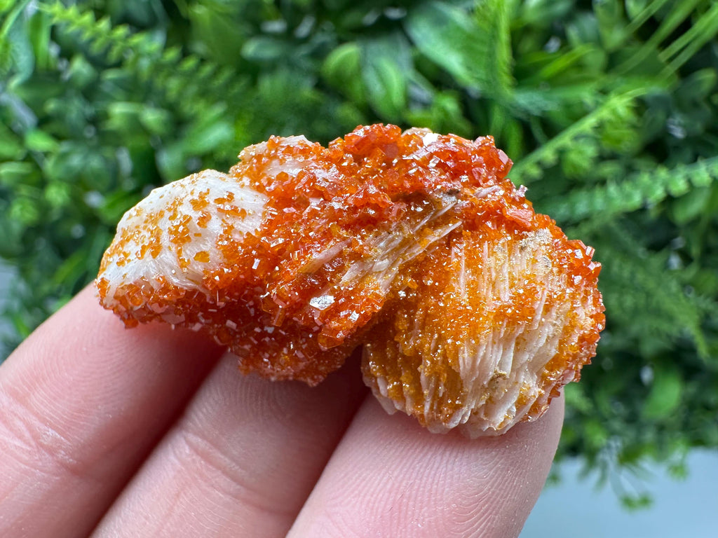 Red Vanadinite on Barite, Moroccan Crystal Specimen