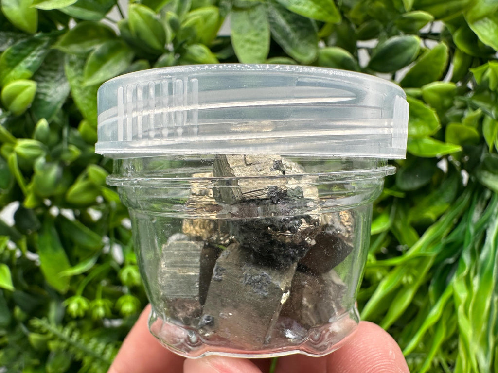 Golden Pyrite Cubes in Box: Collection Stone, Gift, Souvenir