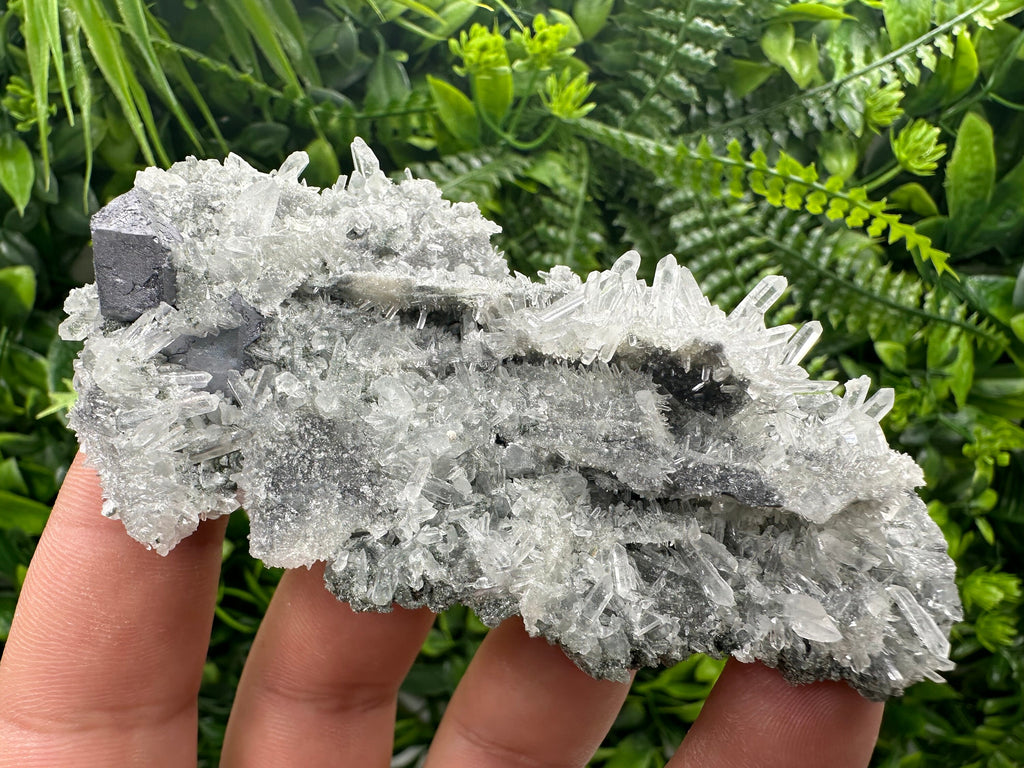 Galena on Green Quartz, Borieva Mine, Mineral Specimen