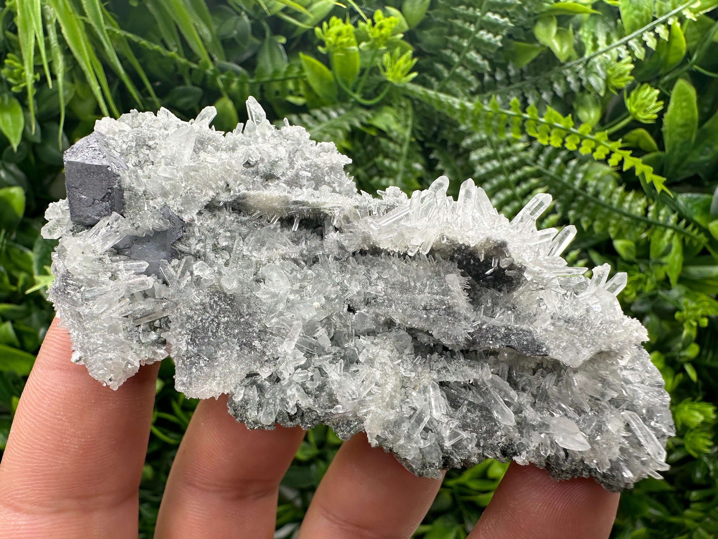 Galena on Green Quartz, Borieva Mine, Mineral Specimen