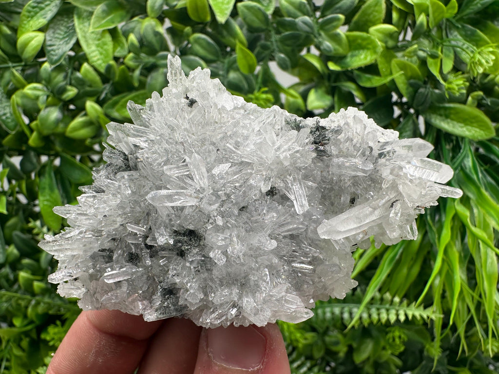 Transparent Quartz on Chlorite Matrix, Borieva Mine, Bulgaria