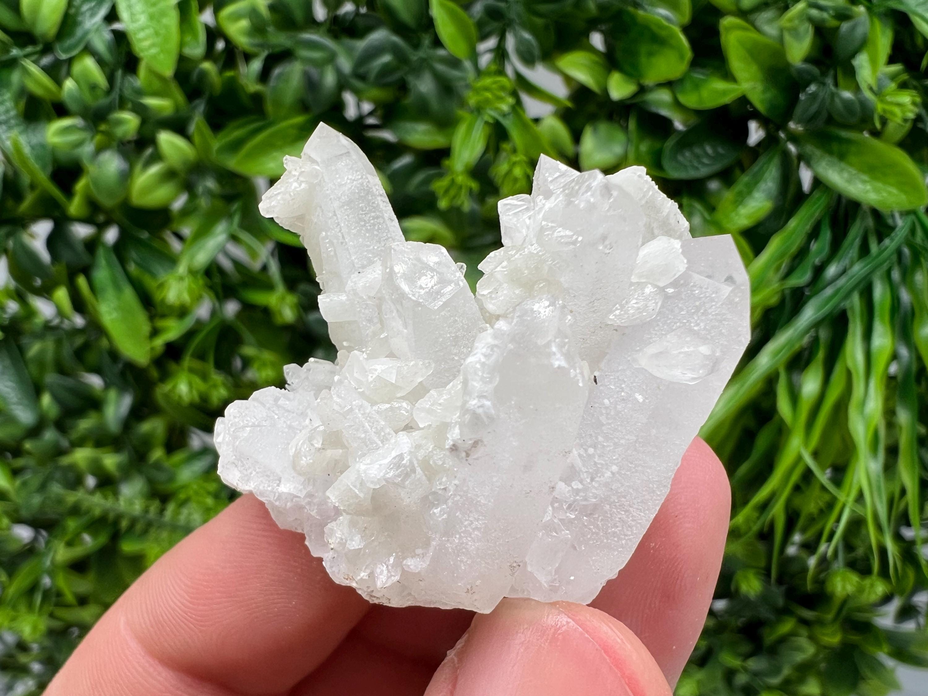 Calcite on Green Quartz: Djurcovo Mine, Bulgaria Healing Crystal