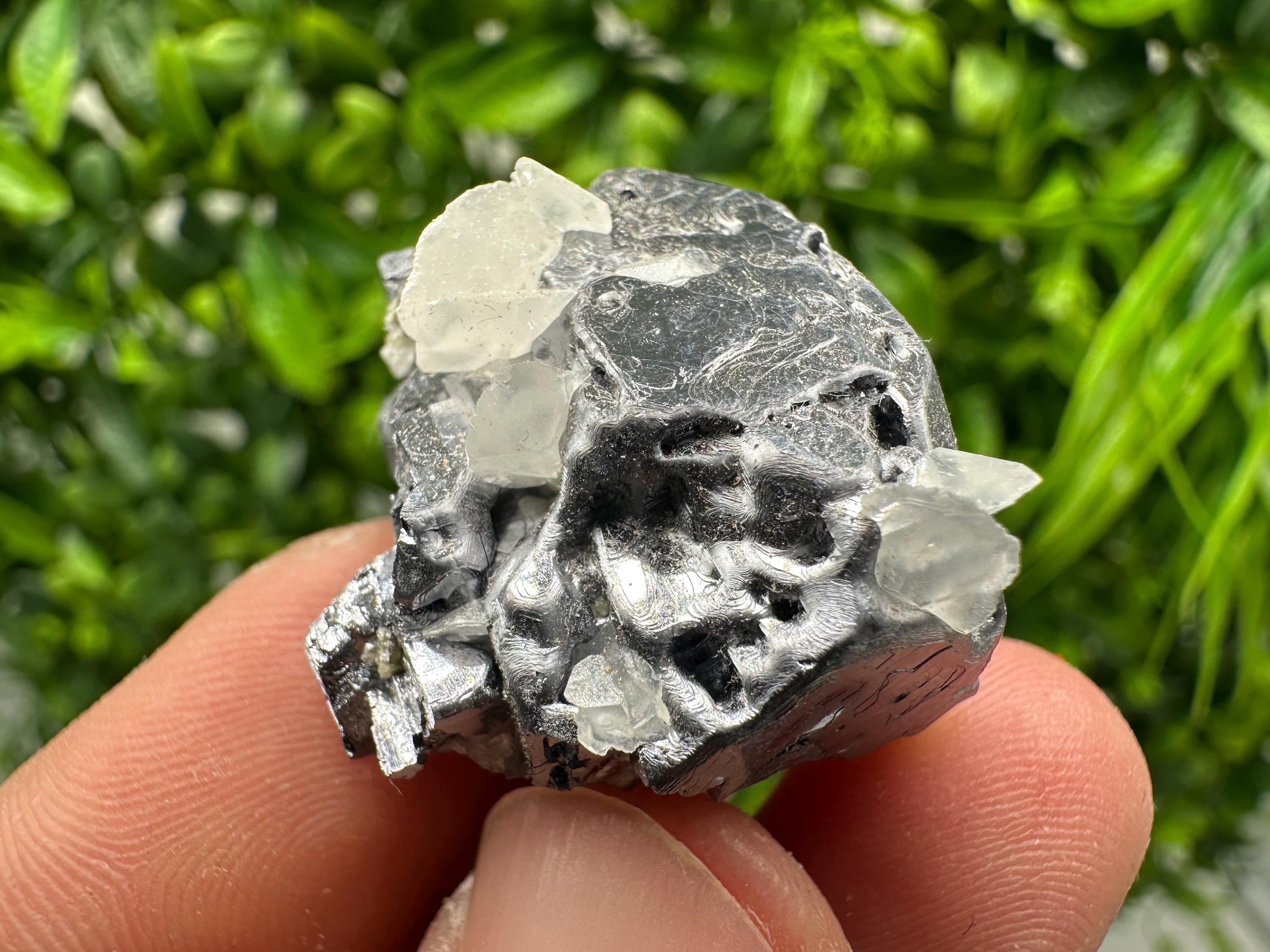 Shiny Galena Cluster, Borieva Mine, Madan Bulgaria