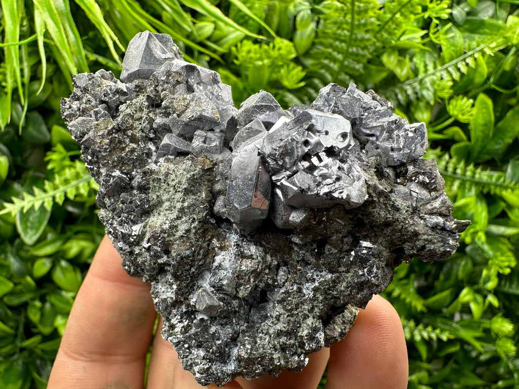 Galena Cluster on Matrix: Natural Mineral Specimen, Bulgaria