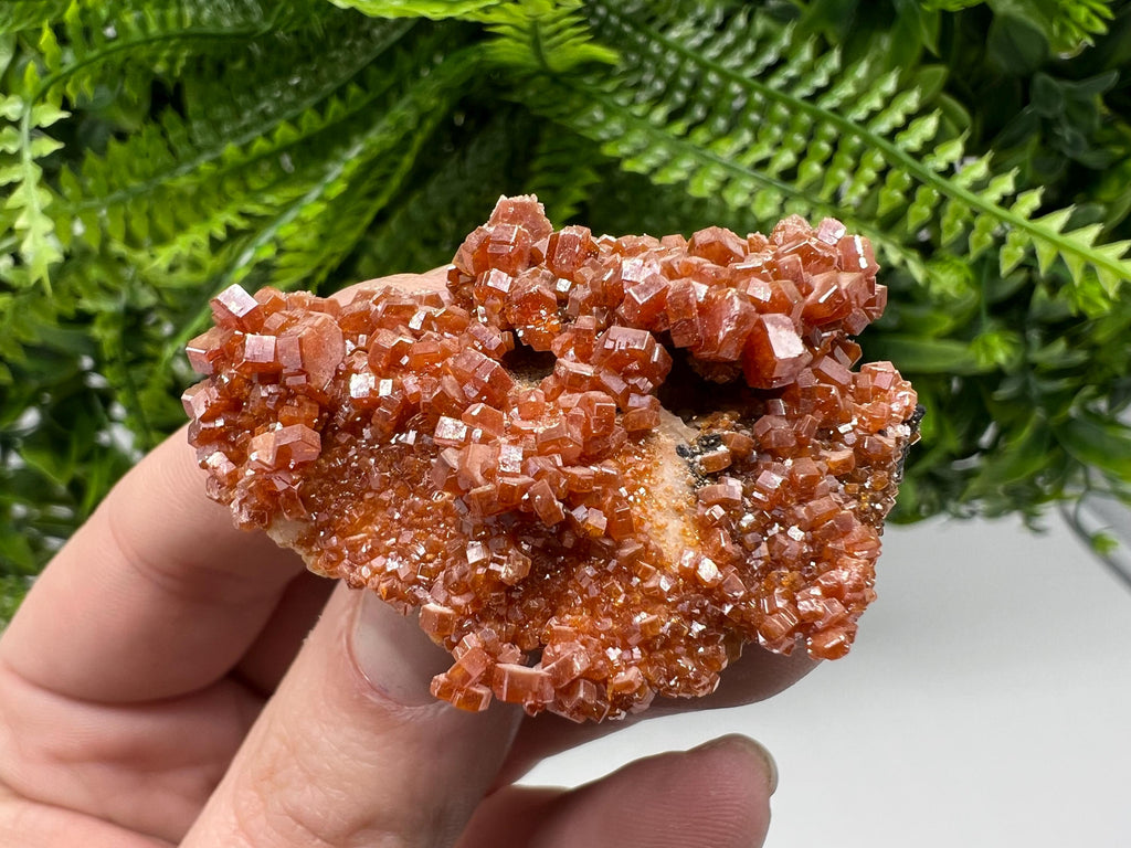 Red Vanadinite Crystal Cluster on Barite Matrix, Morocco Mineral Specimen