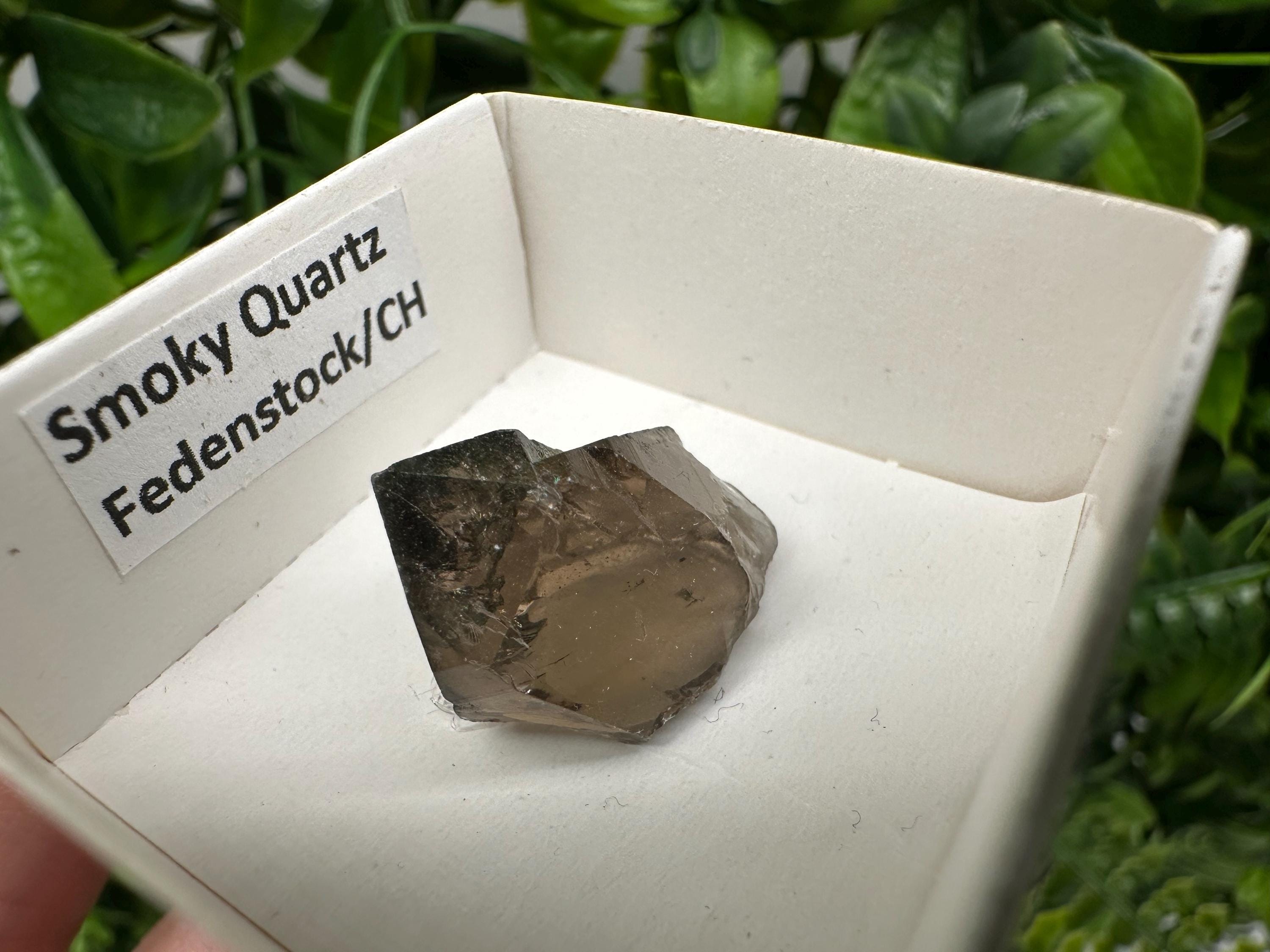 Rare Fedenstock Smoky Quartz Point, Swiss Mineral Specimen (25MM)