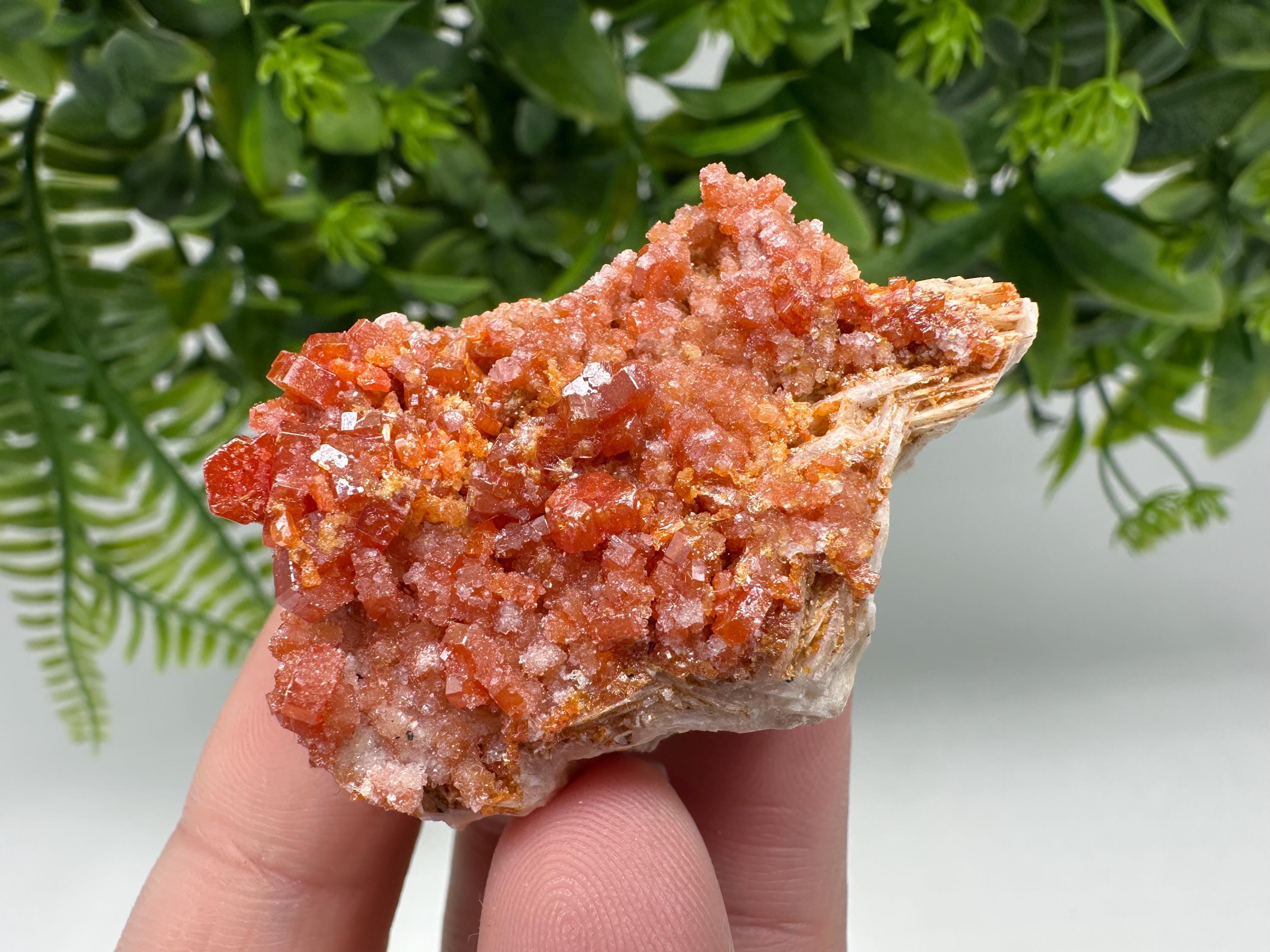 Red Vanadinite Crystal Cluster on Barite Matrix from Morocco, Mineral Specimen