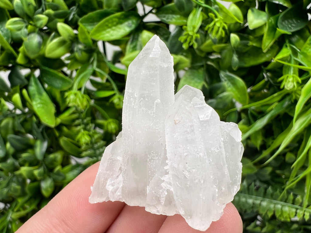 Transparent Quartz on Chlorite Matrix, Borieva Mine, Bulgaria