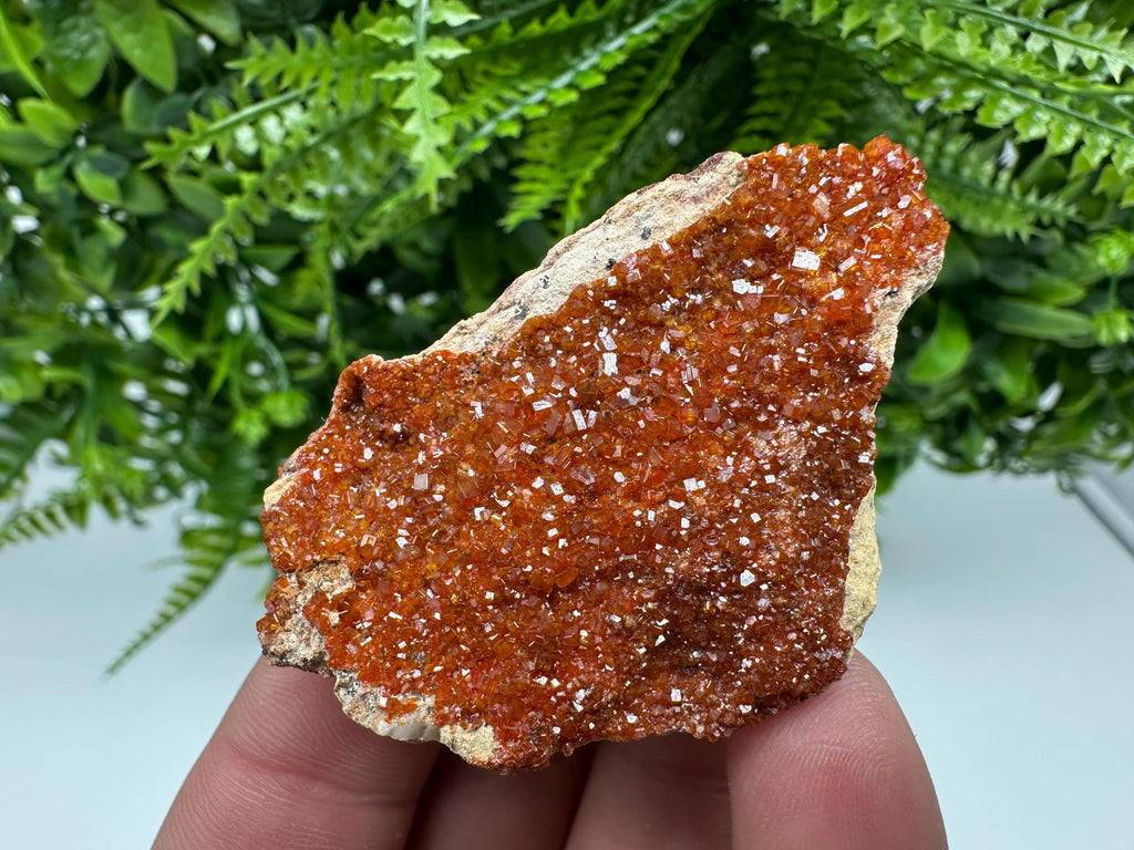 Red Vanadinite Crystal on Barite, Morocco Mineral Specimen