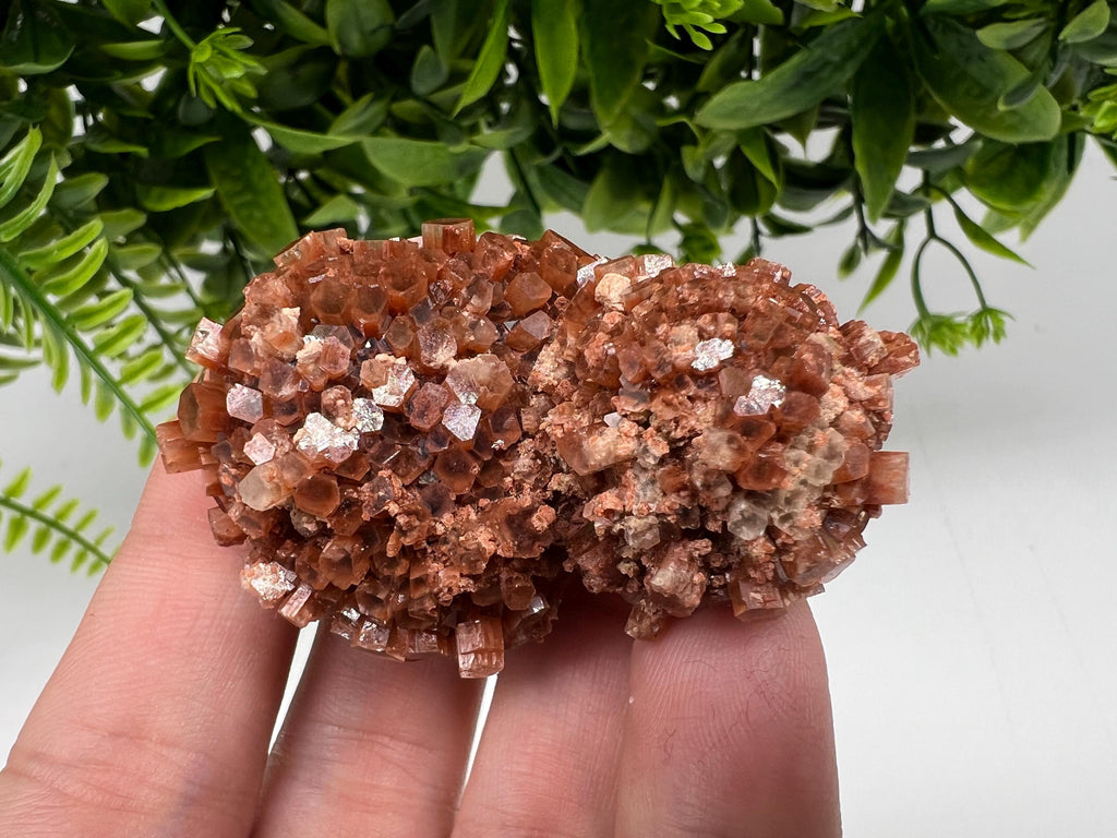 Large Aragonite Sputnik Cluster: Raw Moroccan Crystal Stone