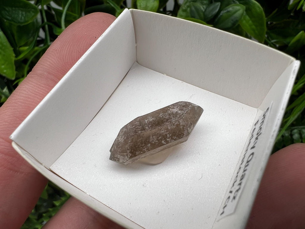 Rare Smoky Quartz Point, Fedenstock Switzerland Mineral Specimen (25MM)