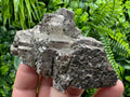 Rare Pyrite Marcazite Structure, Androvo Mine, Bulgaria