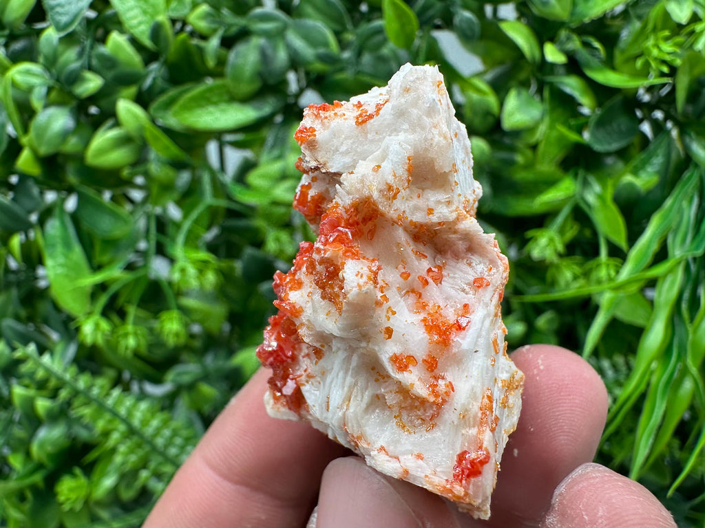 Red Vanadinite Crystal on Barite, Morocco Mineral Specimen