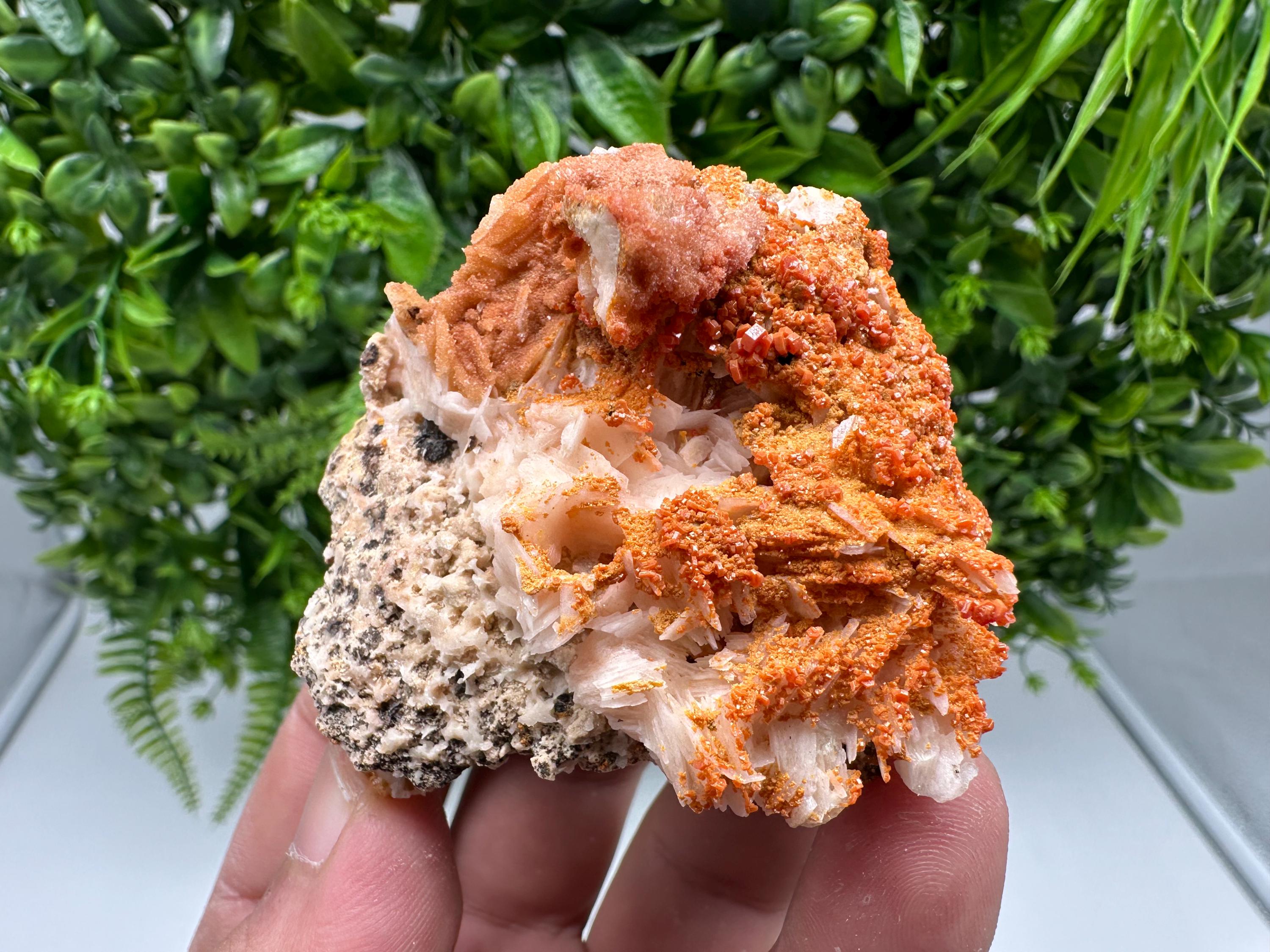 Red Vanadinite on Barite from Marocco,crystal minerals Speciment cluster Vanadinite crystal Vanadinite Geology Vanadinite cluster minerals