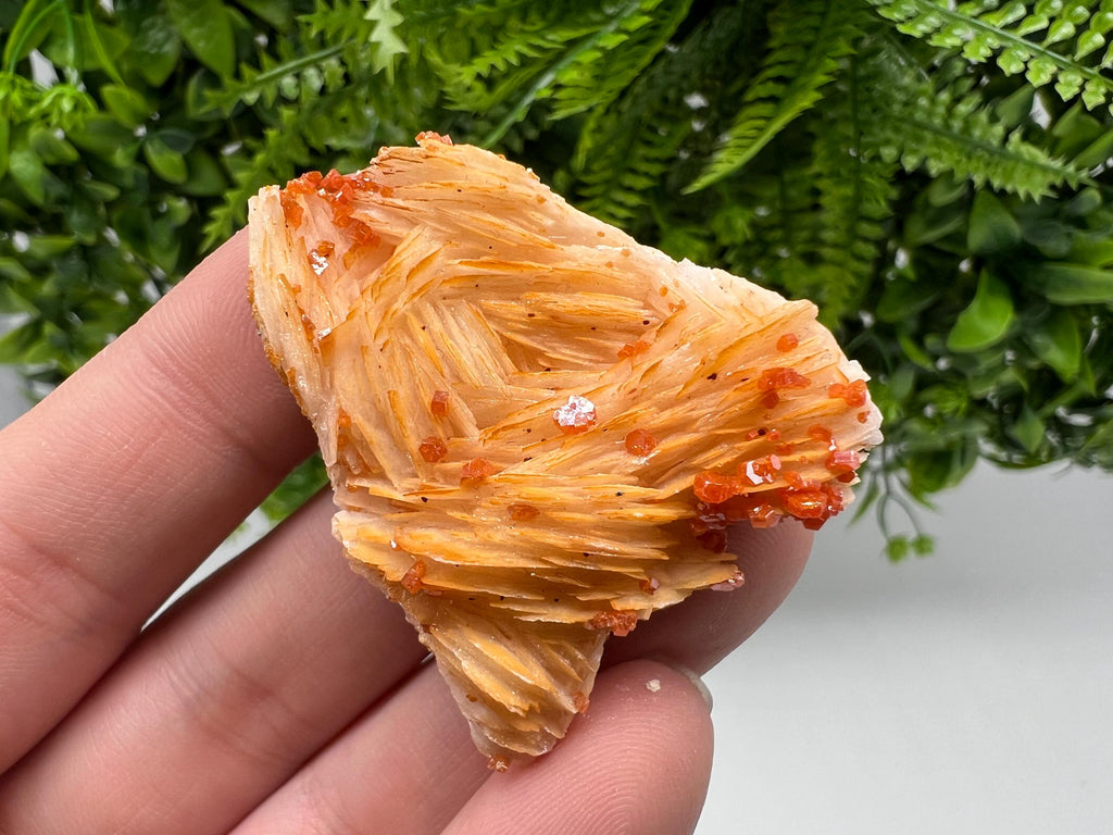 Red Vanadinite on Barite from Marocco,crystal minerals Speciment cluster Vanadinite crystal Vanadinite Geology Vanadinite cluster minerals
