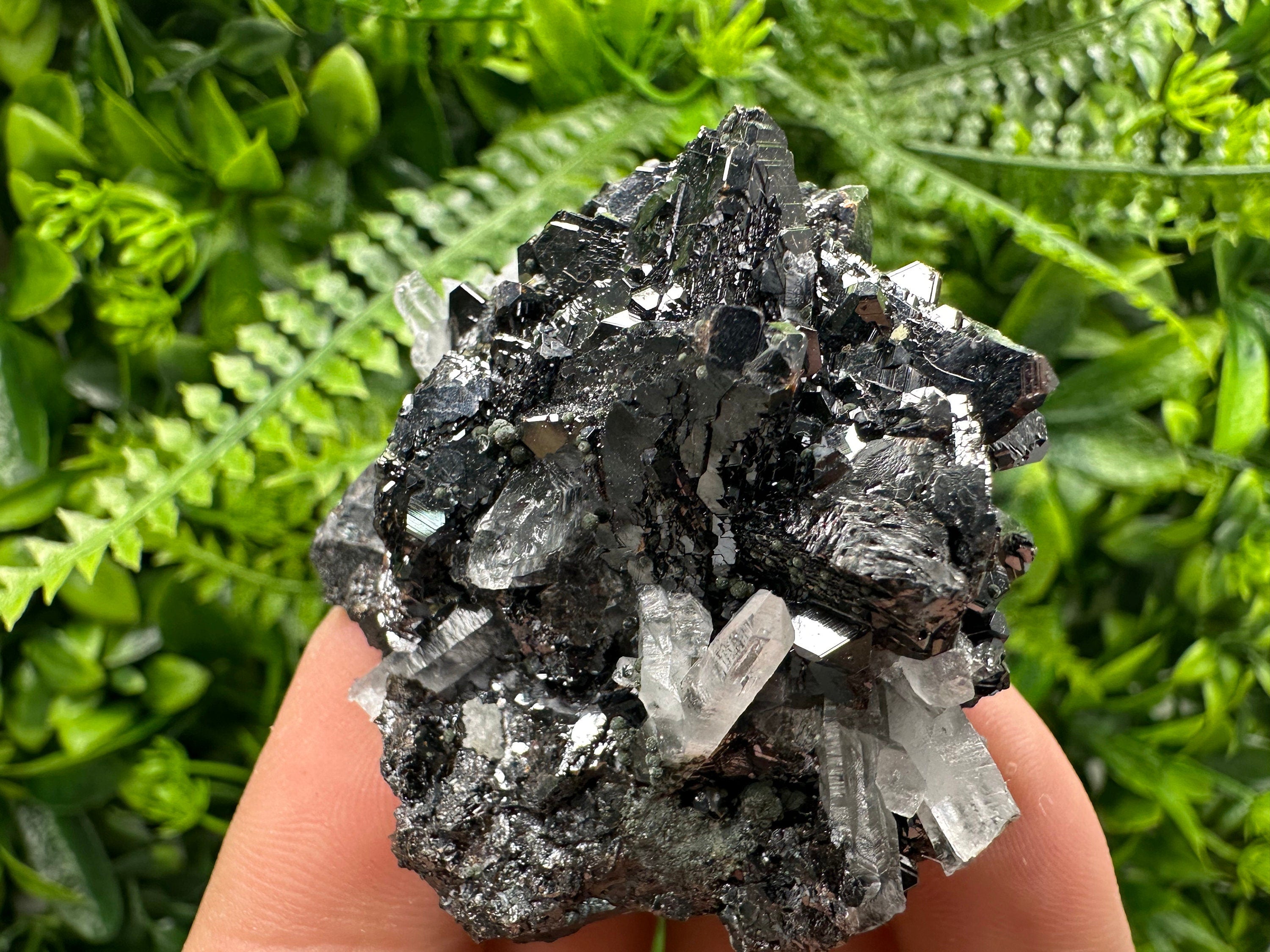 Borieva Sphalerite on Quartz: Rare Mineral Cluster