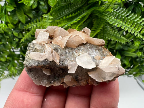 Calcite on Matrix, Borieva Mine, Madan Bulgaria, Mineral Specimen