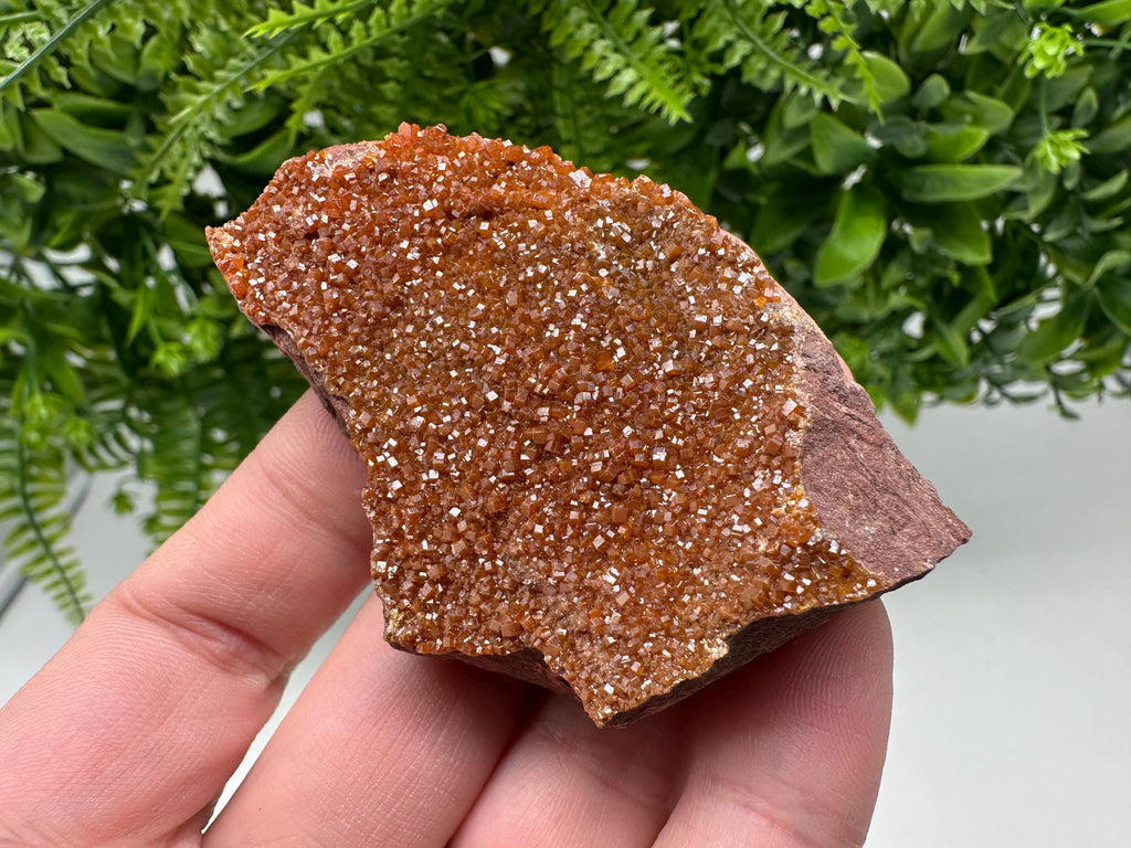 Red Vanadinite on Matrix from Marocco,crystal minerals Speciment cluster Vanadinite crystal Vanadinite Geology Vanadinite cluster minerals