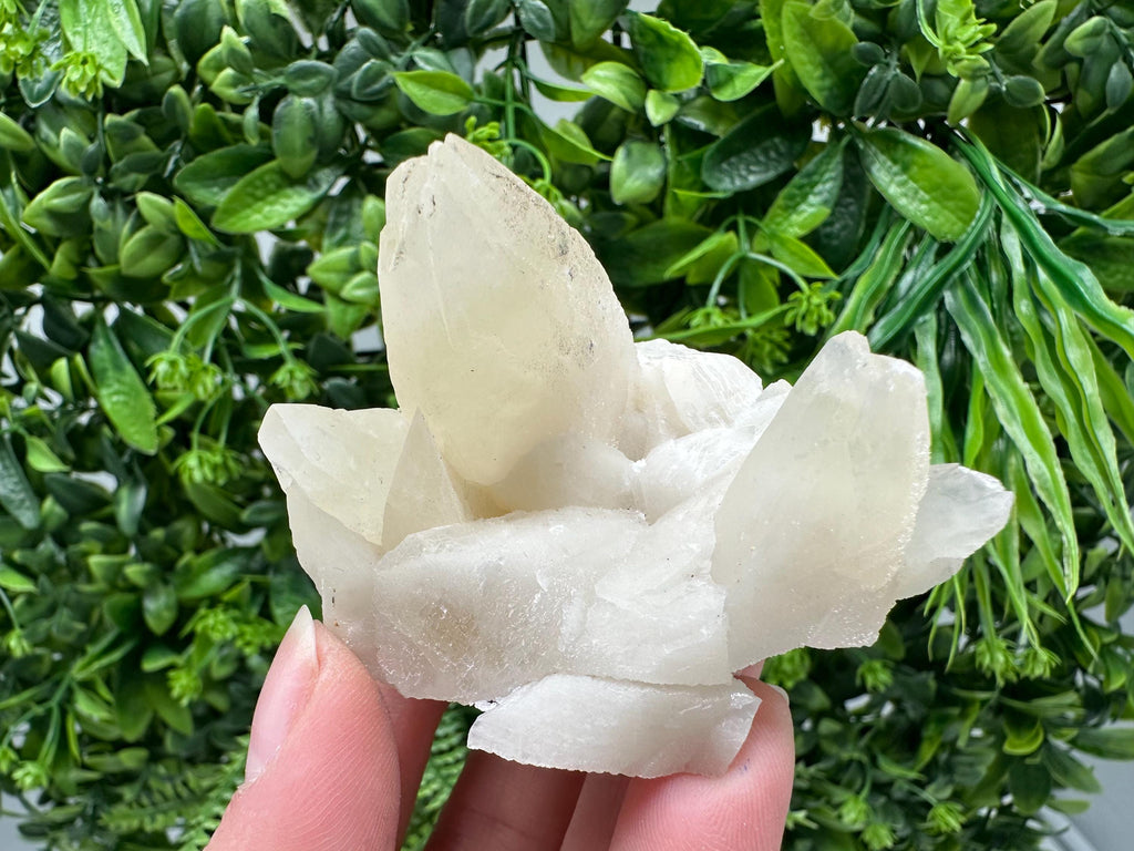 Calcite on Green Quartz: Laki Bulgaria Healing Crystal