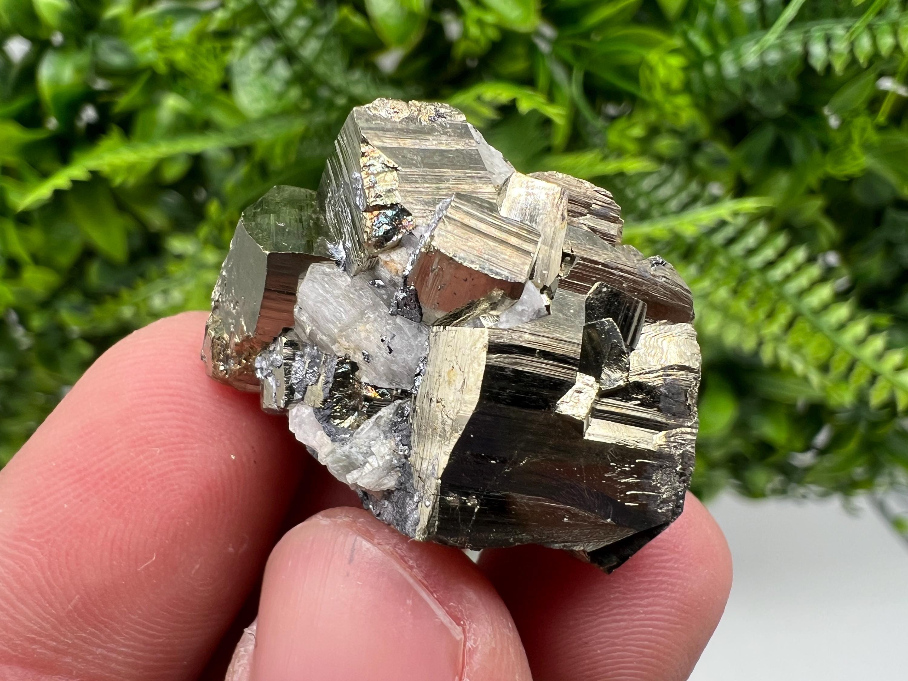 Mini Rainbow Pyrite Cluster: Borieva Mine, Bulgaria