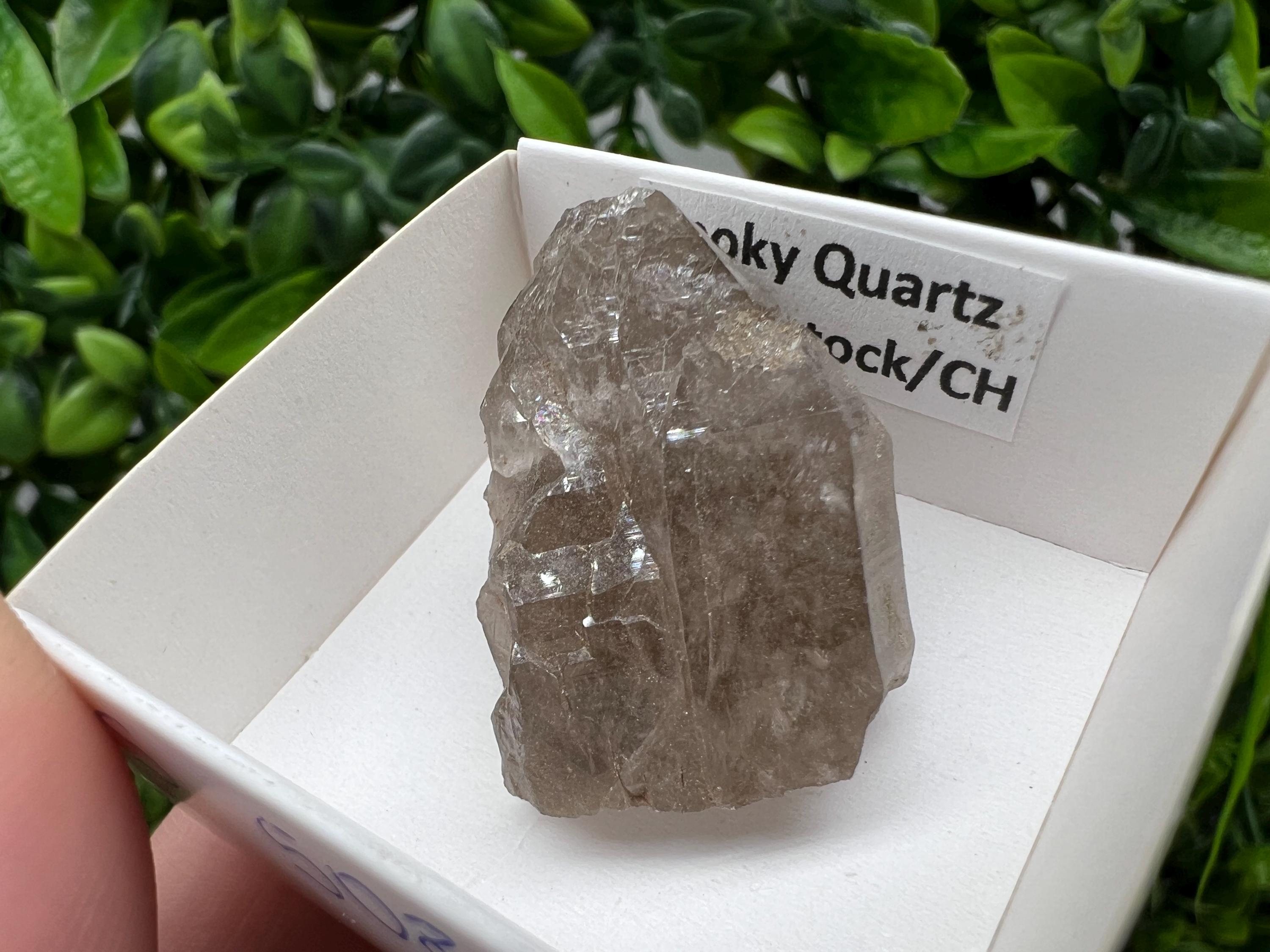 Rare Smoky Quartz from Fedenstock (mountain) Switzerland,Mineral,Specimen,Collection,Black Quartz,Mineral,Home,Smoky Quartz,Quartz point