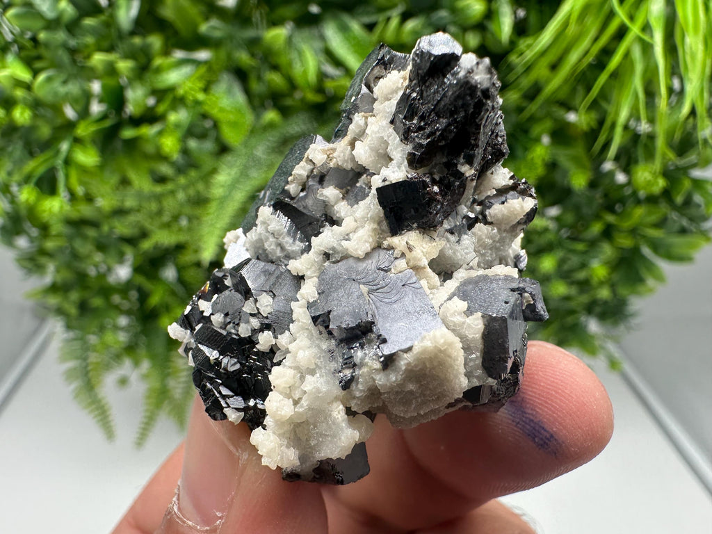 Skeletal Galena with Siderite & Sphalerite - Krushev dol Mine, Bulgaria