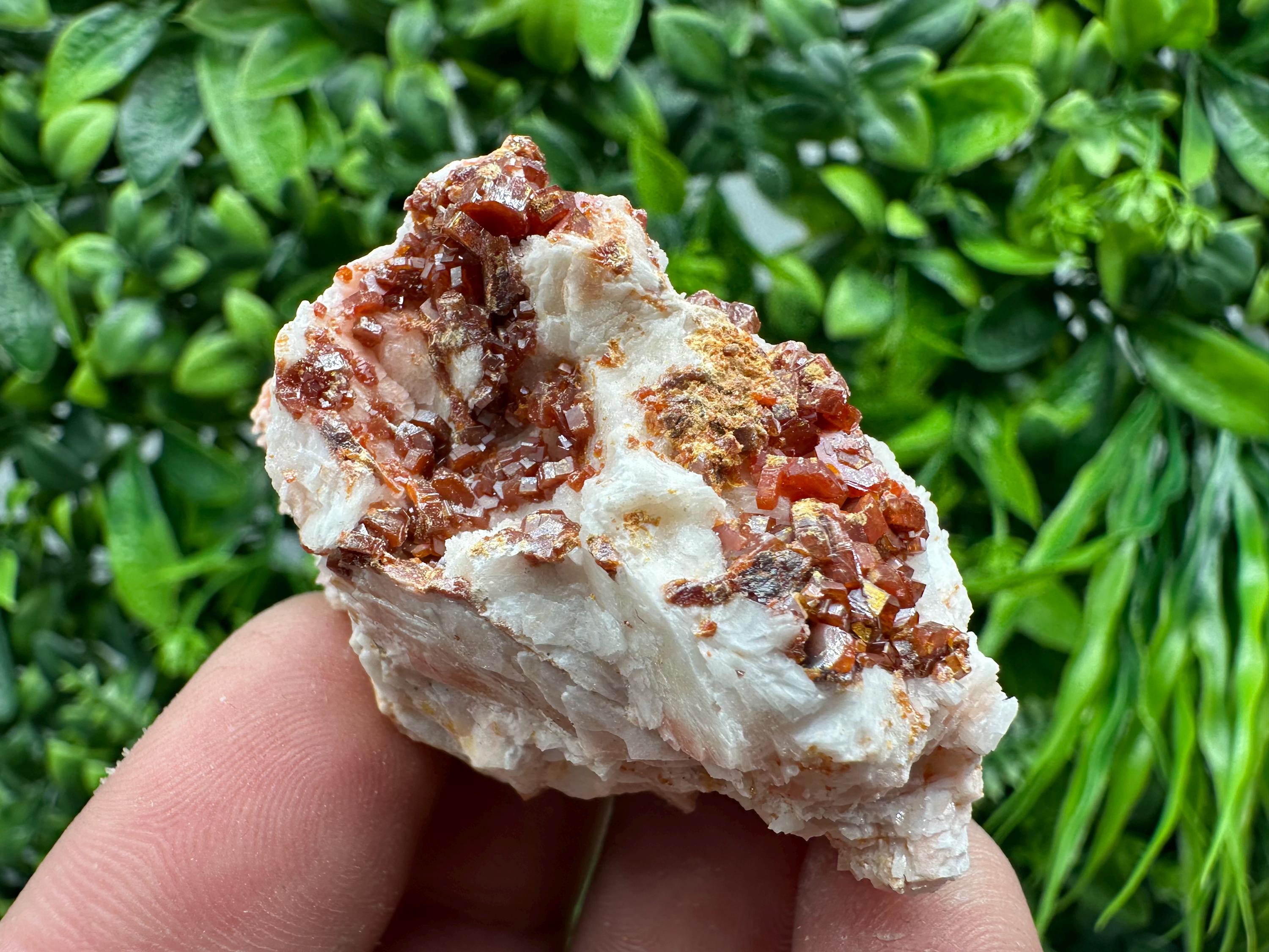 Red Vanadinite on Barite, Morocco Crystal Cluster