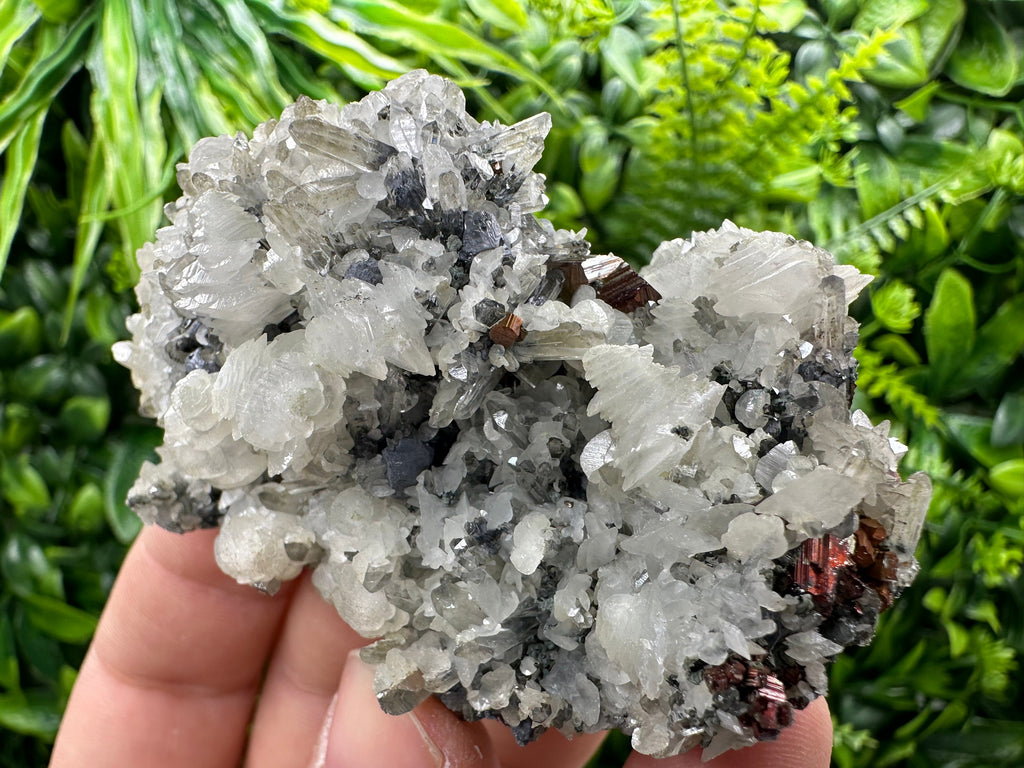 Pyrite Calcite on Quartz Crystal: Borieva Mine, Bulgaria
