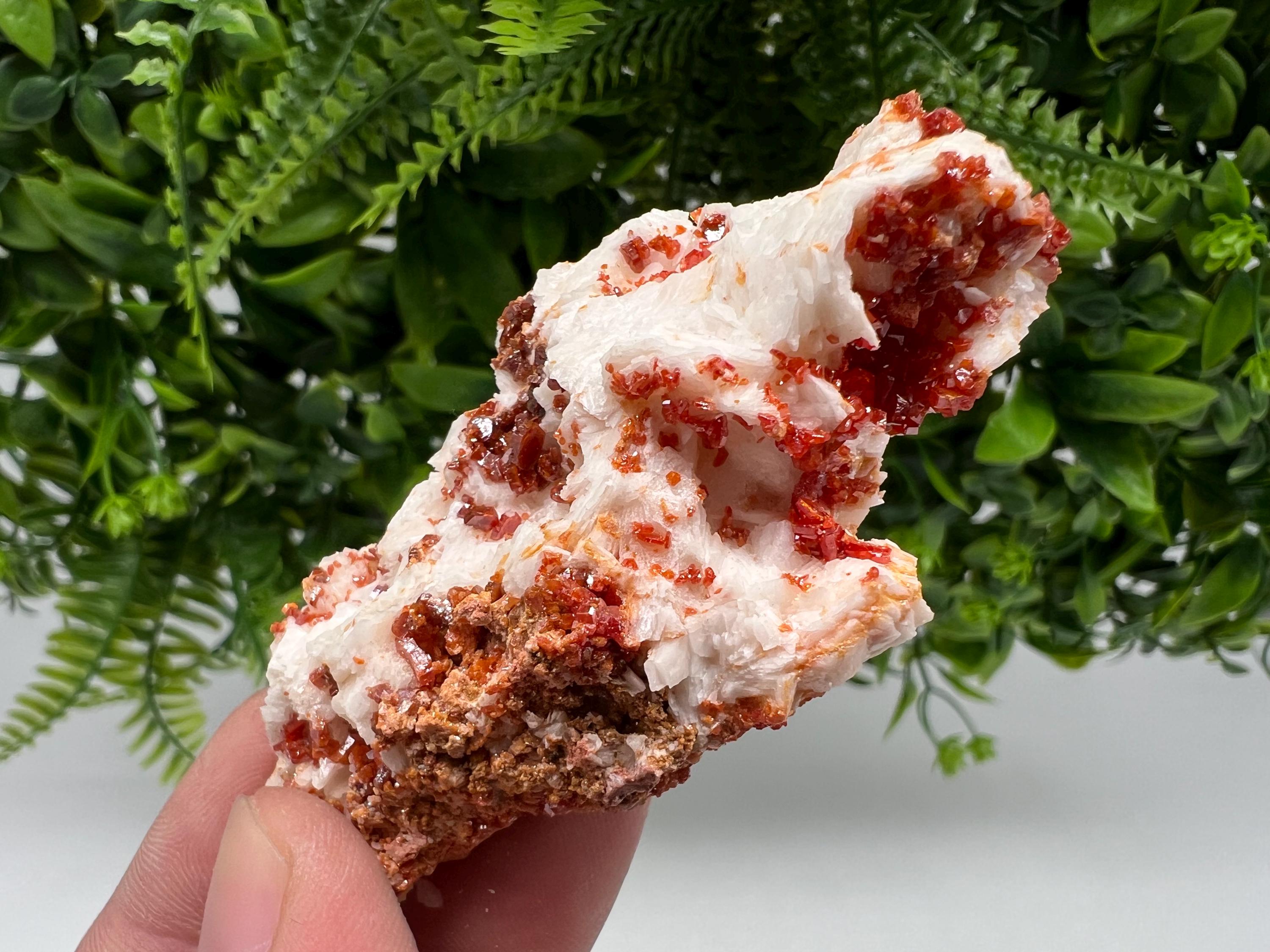 Wonderful Barite whit Vanadinite,Marocco,crystal minerals Speciment cluster Vanadinite crystal Vanadinite Geology Vanadinite cluster mineral