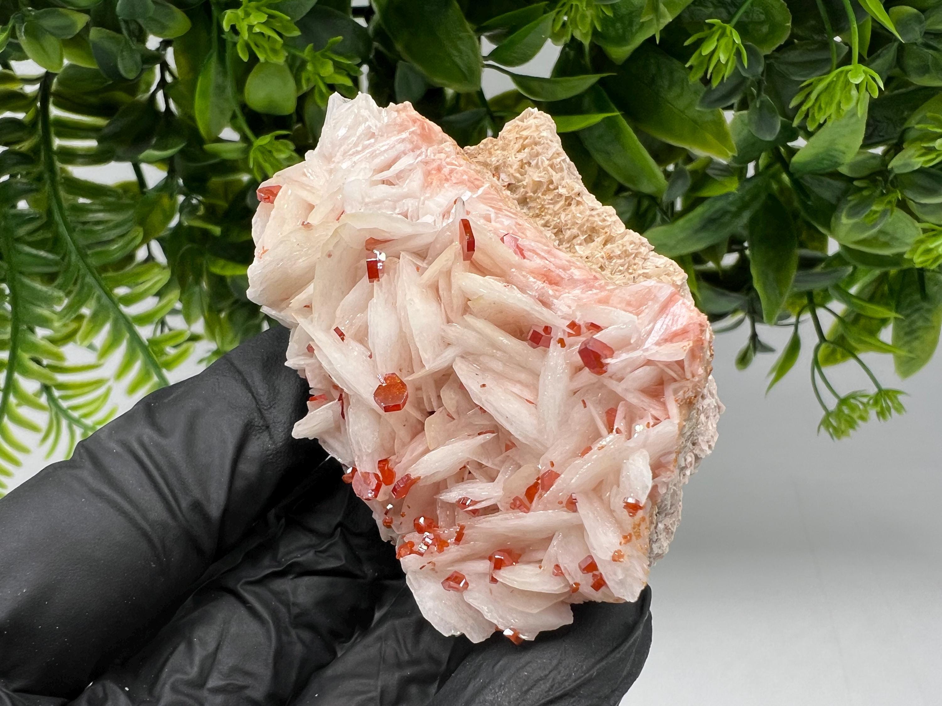 Red Vanadinite on Barite from Marocco,crystal minerals Speciment cluster Vanadinite crystal Vanadinite Geology Vanadinite cluster minerals