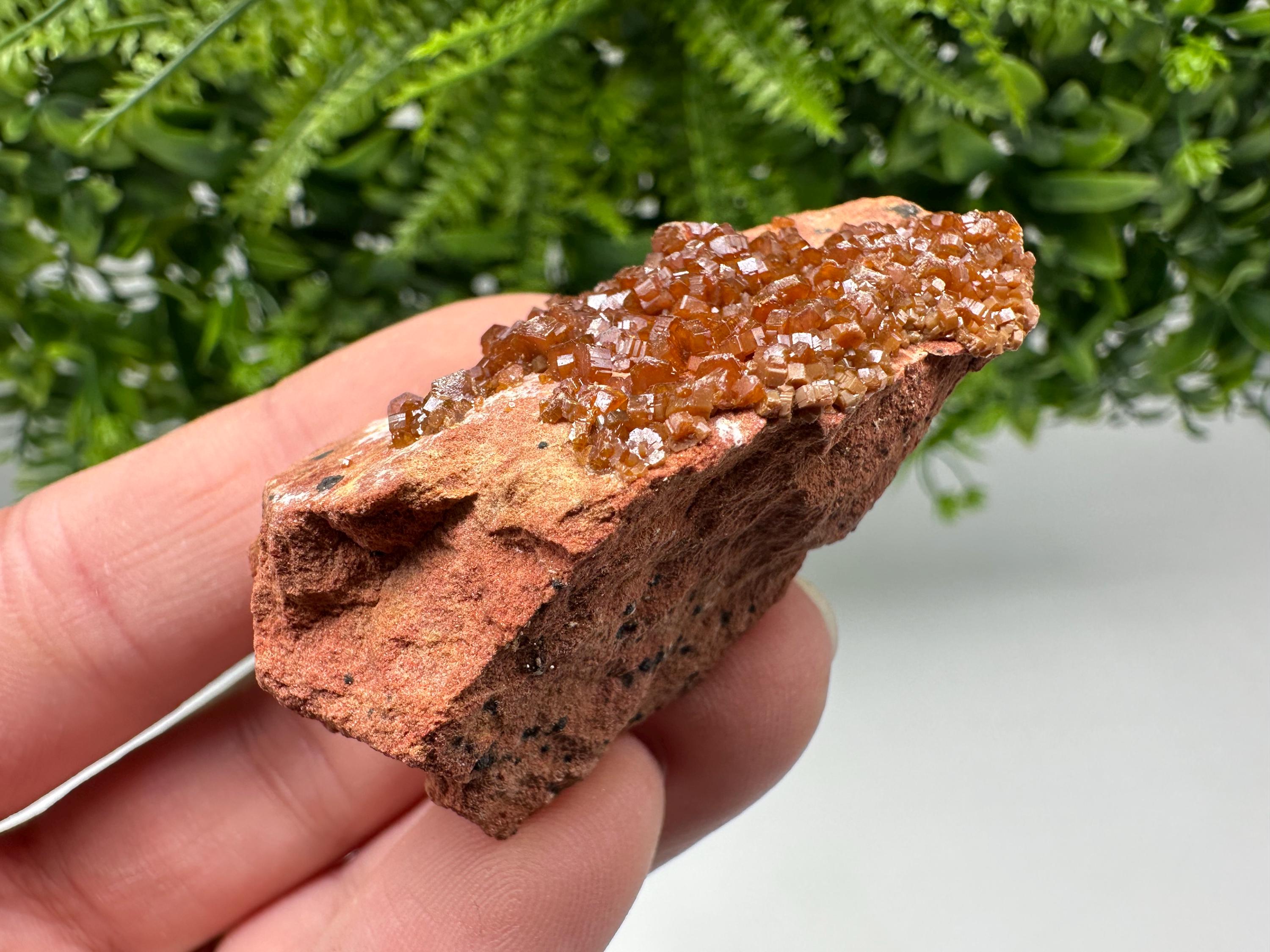 Red Vanadinite on Matrix from Marocco,crystal minerals Speciment cluster Vanadinite crystal Vanadinite Geology Vanadinite cluster minerals